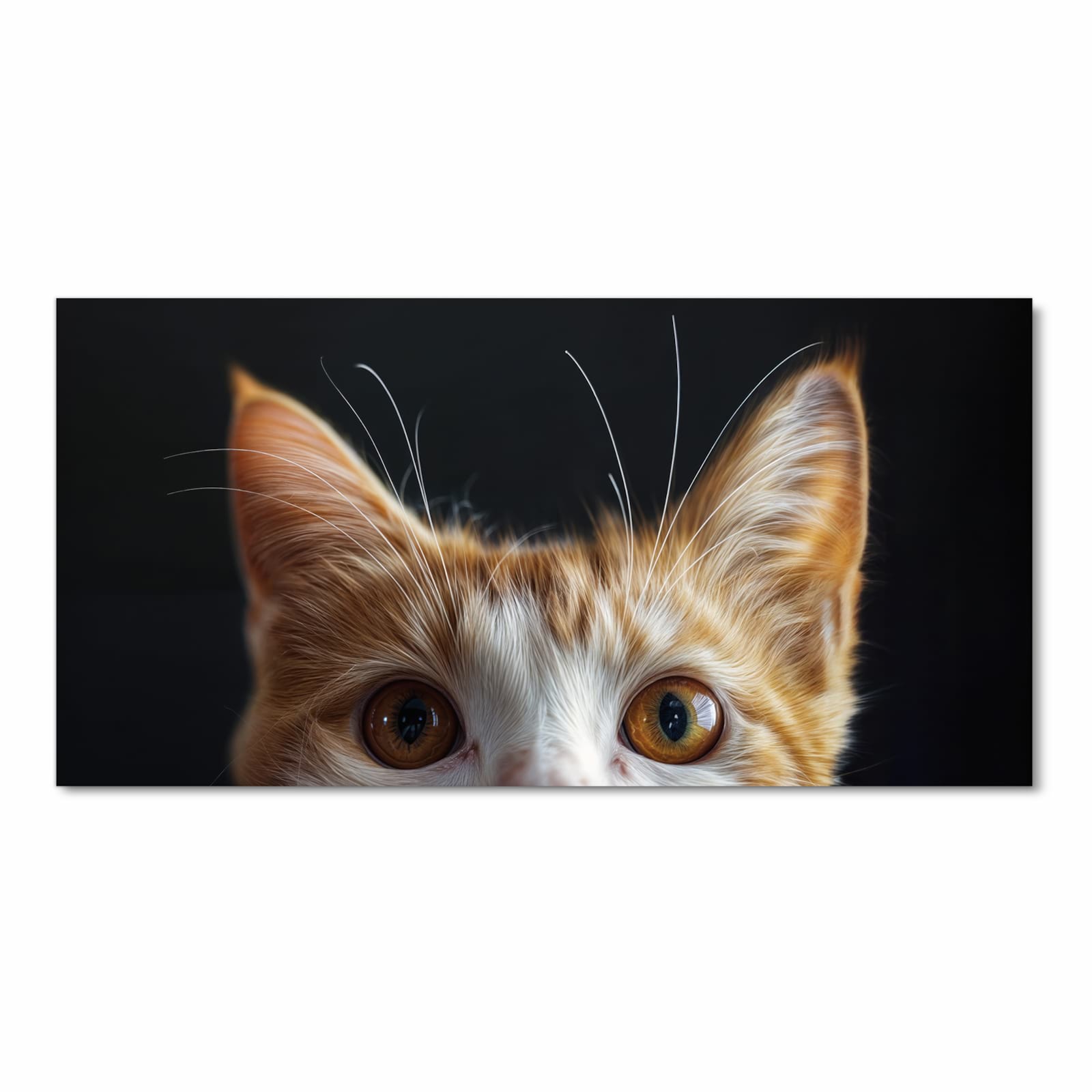 Zeitsparender Küchenteppich mit Motiv Sanfte Katzenaugen in Frontansicht für die Küche