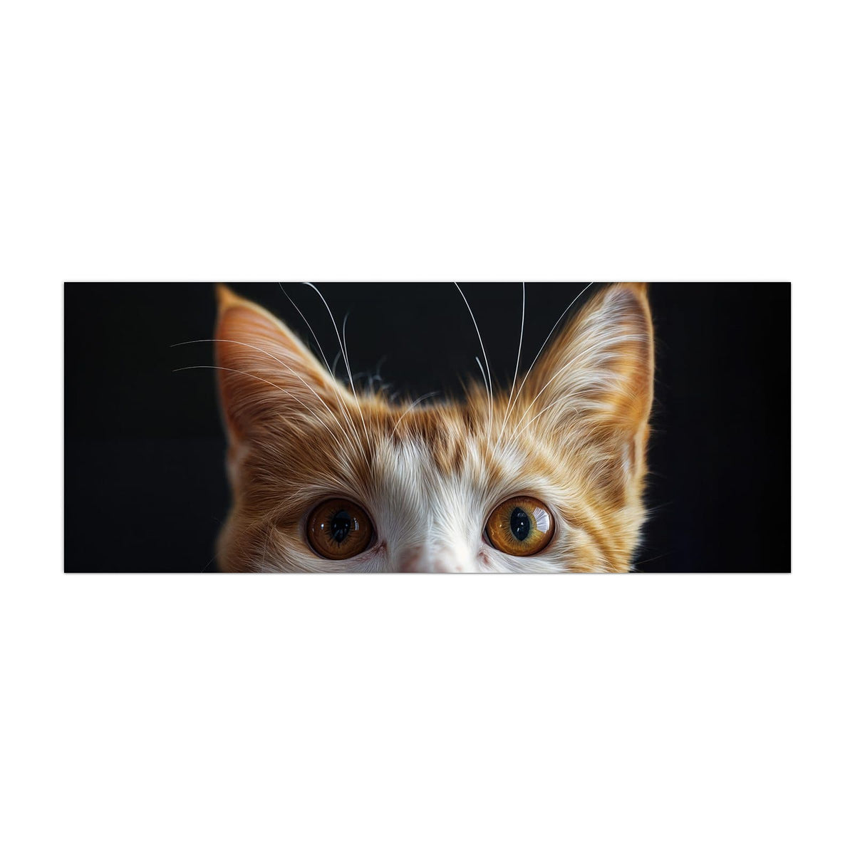 Küchenrückwand aus Glas Katze mit Bernsteinaugen im Hochformat, Motiv bildfüllend von vorn