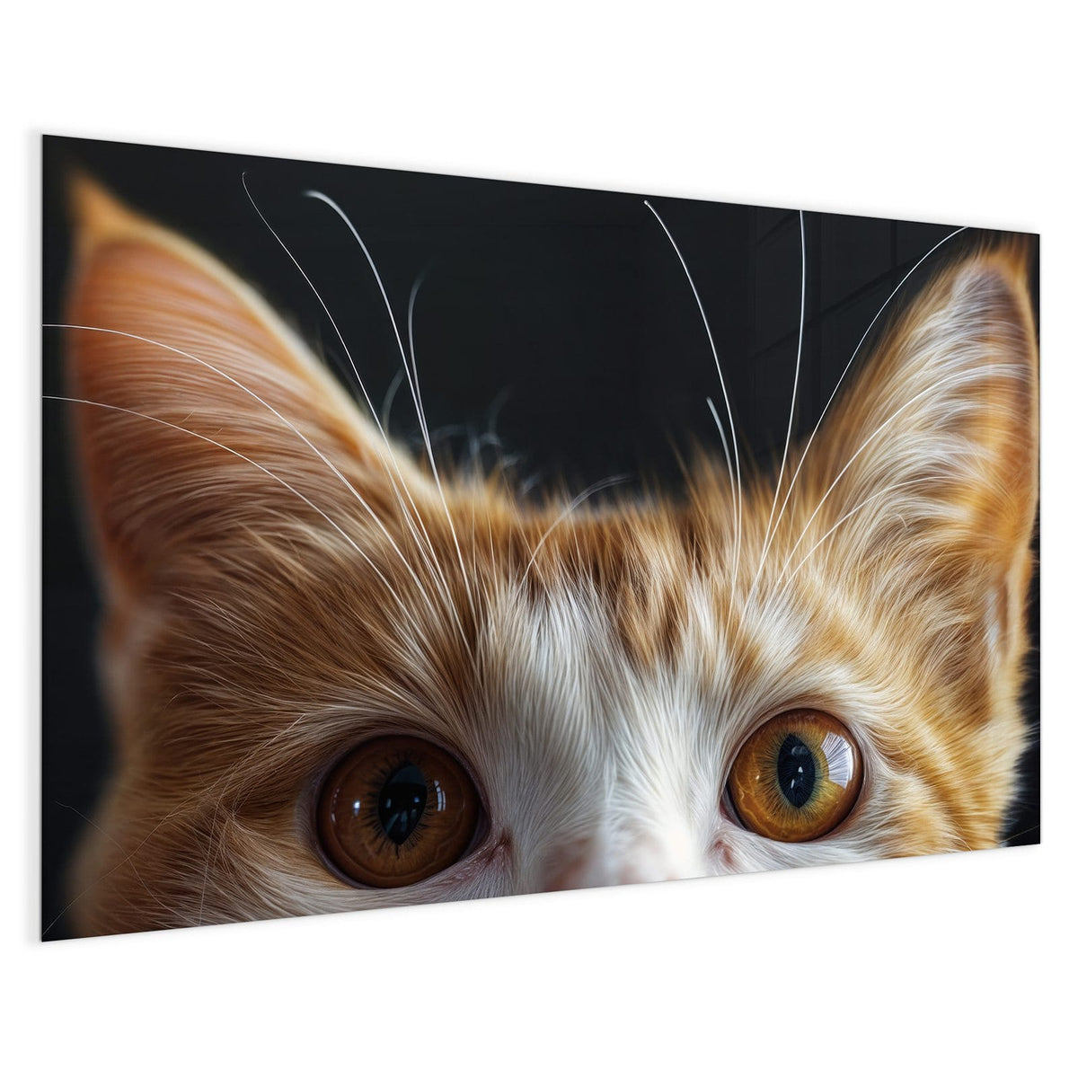 4 mm Glas statt lackiertem Blech – Magnettafel - Katze mit Bernsteinaugen
