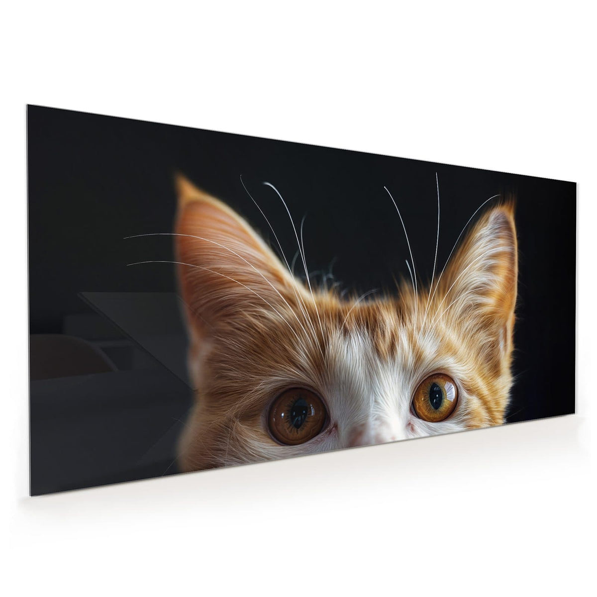 Rot-weiße Katze schaut von unten ins Bild, nur Ohren und große bernsteinfarbene Augen vor Schwarz