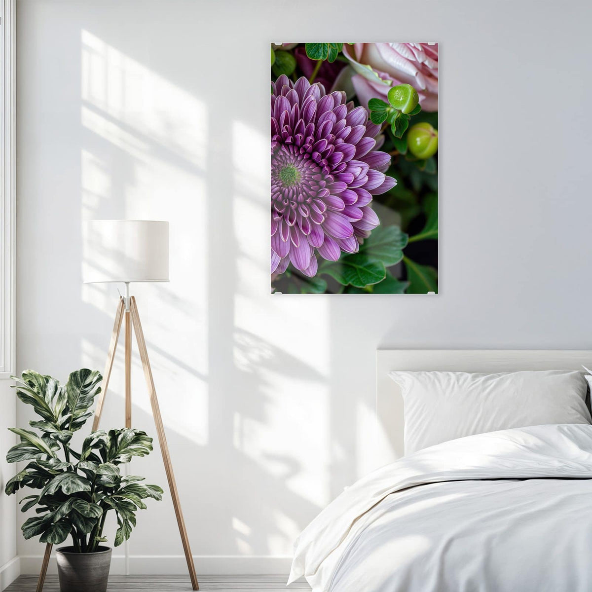 Glasbild Rosen und Chrysantheme an der Wand – Violette Chrysantheme im Zentrum, umgeben von rosa Rosen und grünen Beeren