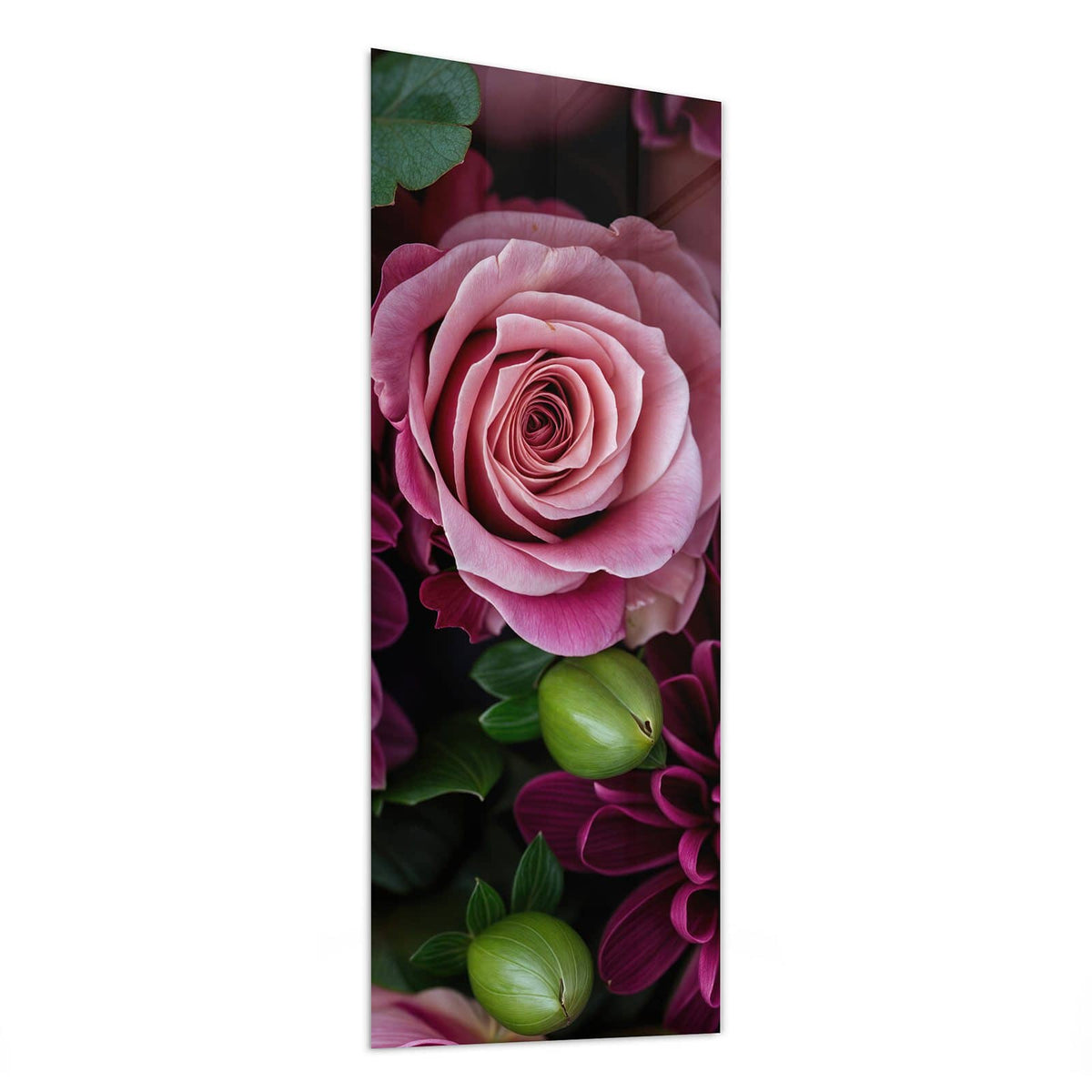 Glasbild Magenta Chrysantheme von der Seite, 4 mm Echtglas