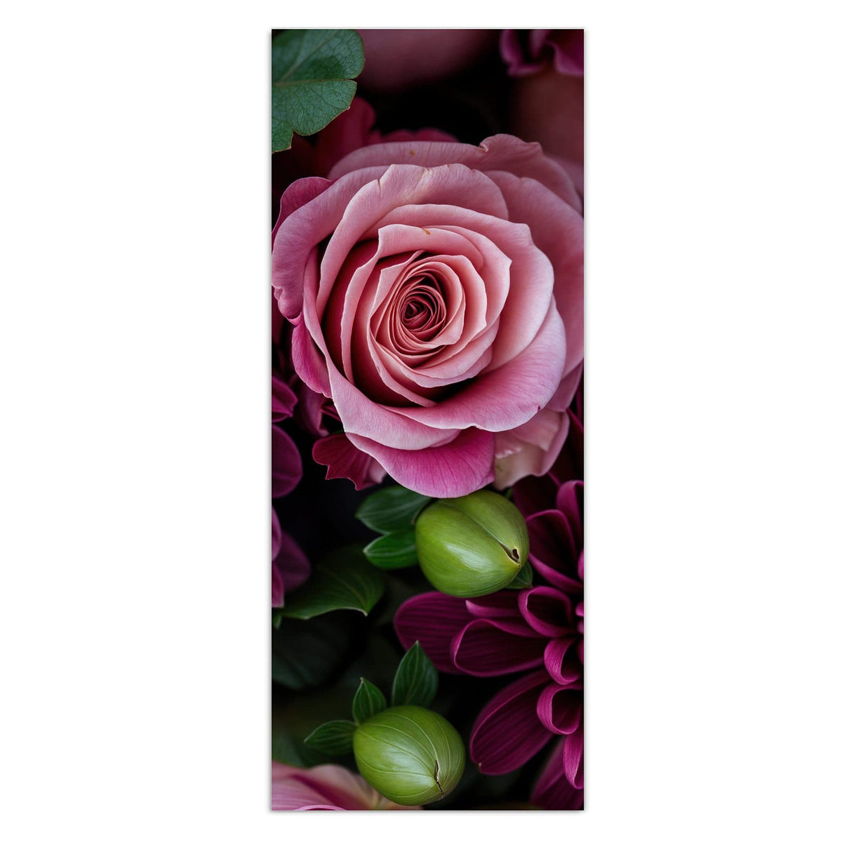 Magentafarbene Chrysantheme formatfüllend, nur Blätter und wenige rosa Blütenblätter am Rand