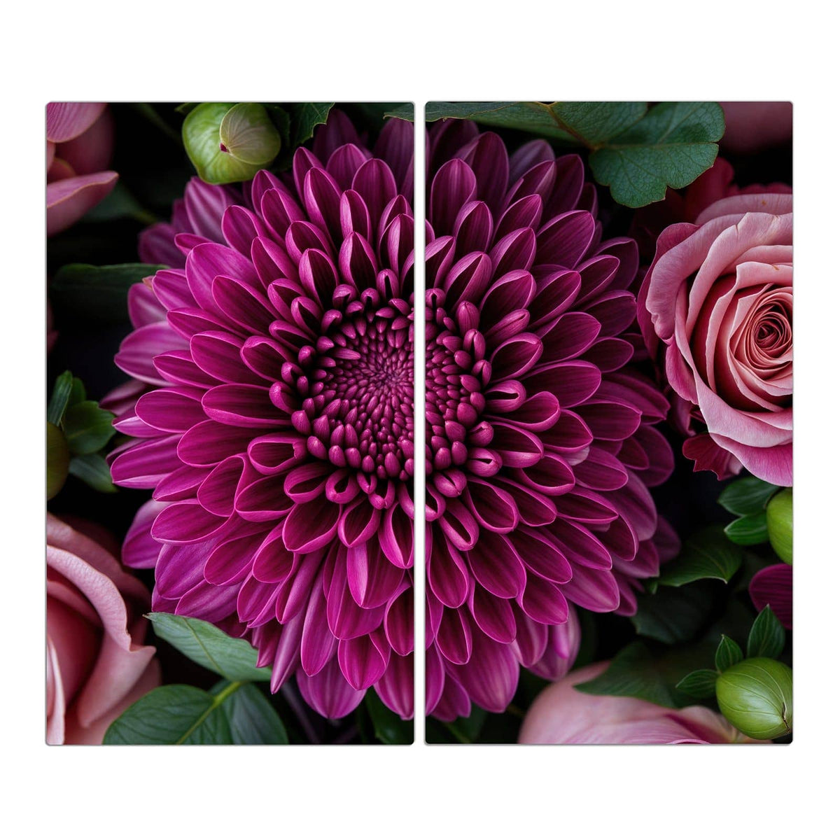 Magentafarbene Chrysantheme formatfüllend, nur Blätter und wenige rosa Blütenblätter am Rand