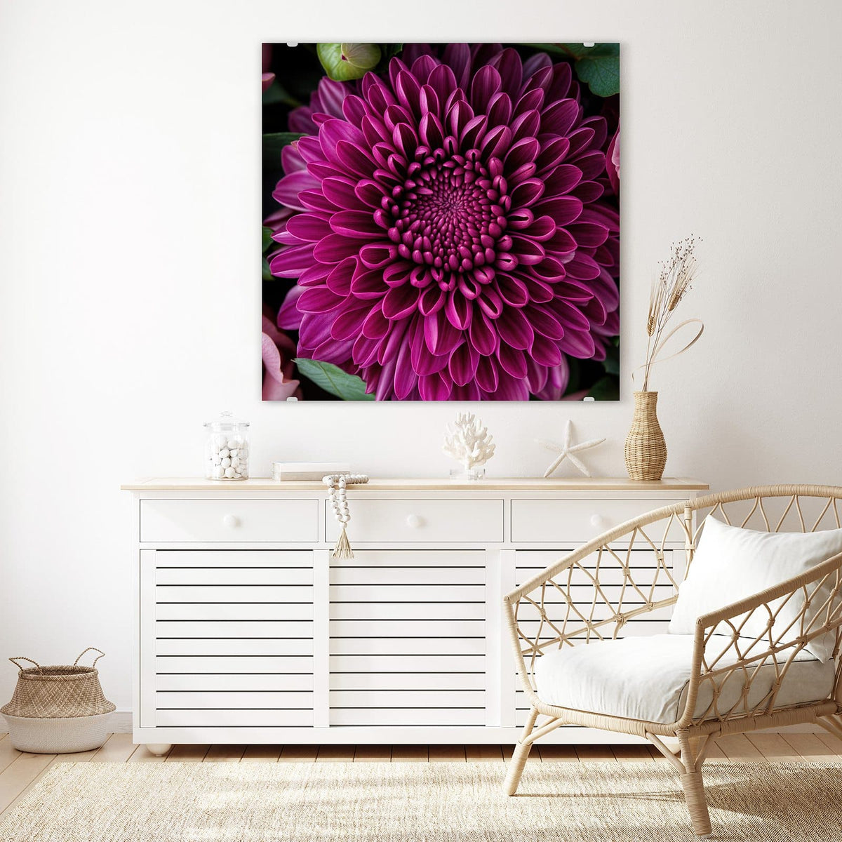 Echtglas, 4 mm – kein Acryl, keine Folie – Wandbild - Magenta Chrysantheme - Quadratisch