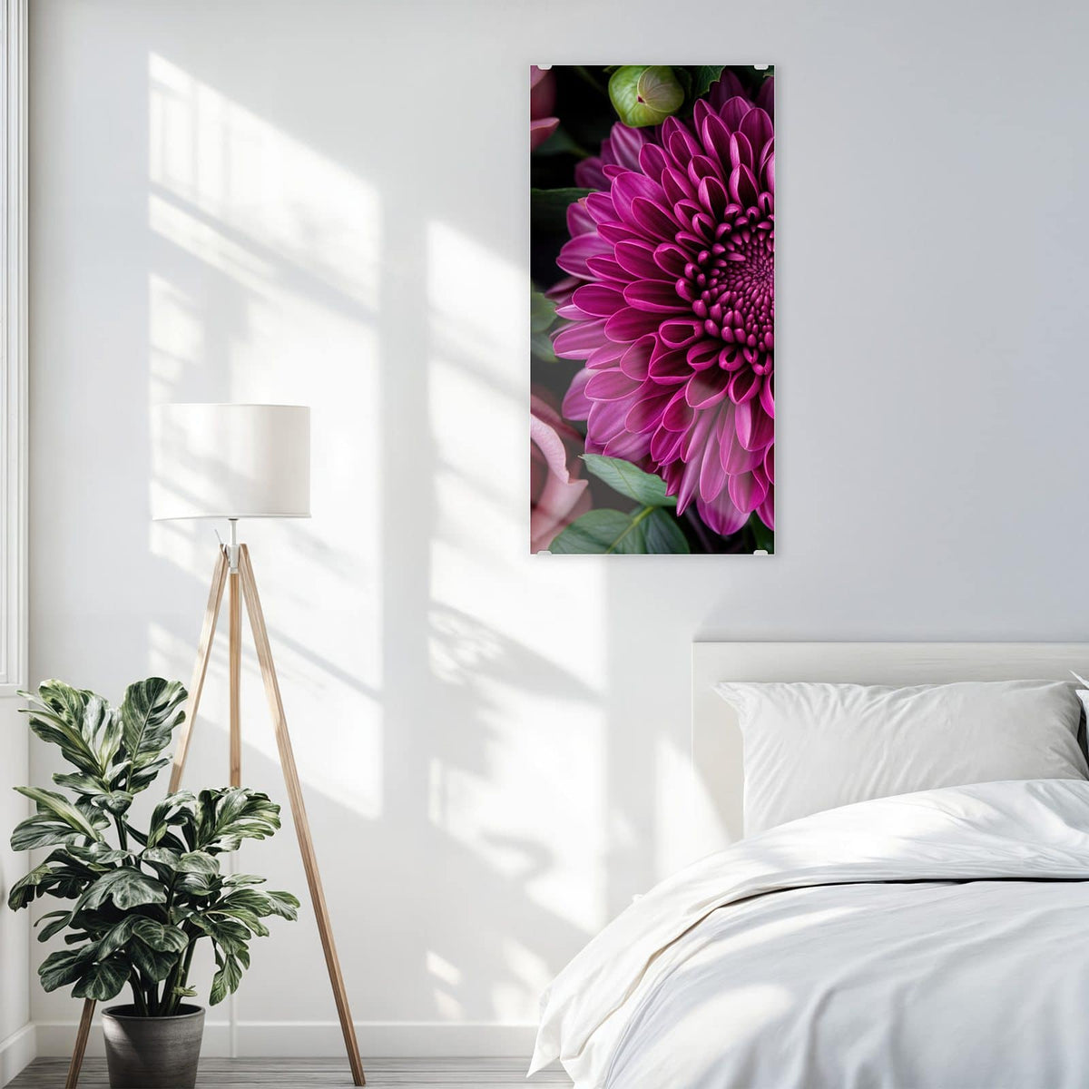 Glasbild Magenta Chrysantheme an der Wand – Magentafarbene Chrysantheme formatfüllend, nur Blätter und wenige rosa Blütenblätter am Rand
