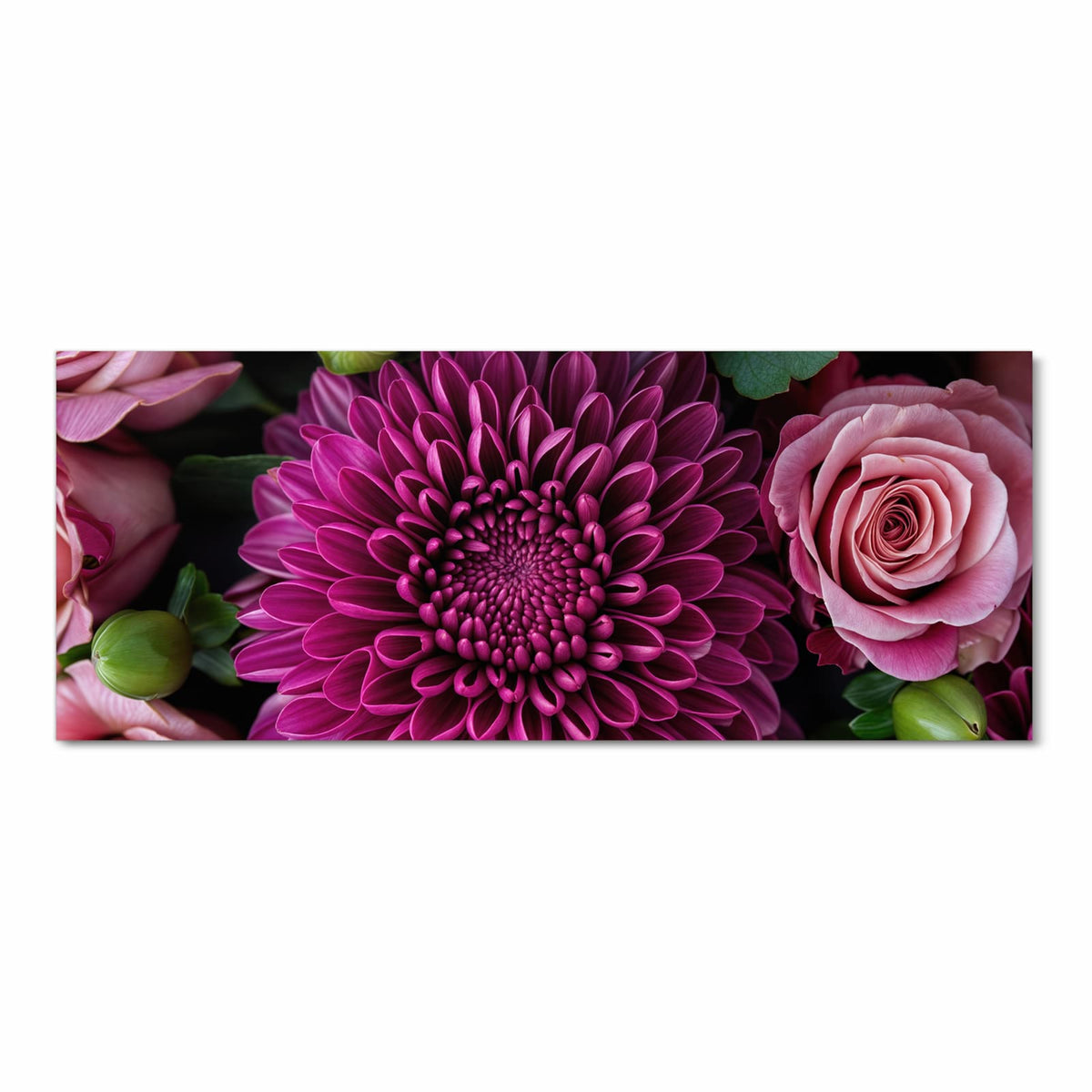 Magentafarbene Chrysantheme formatfüllend, nur Blätter und wenige rosa Blütenblätter am Rand