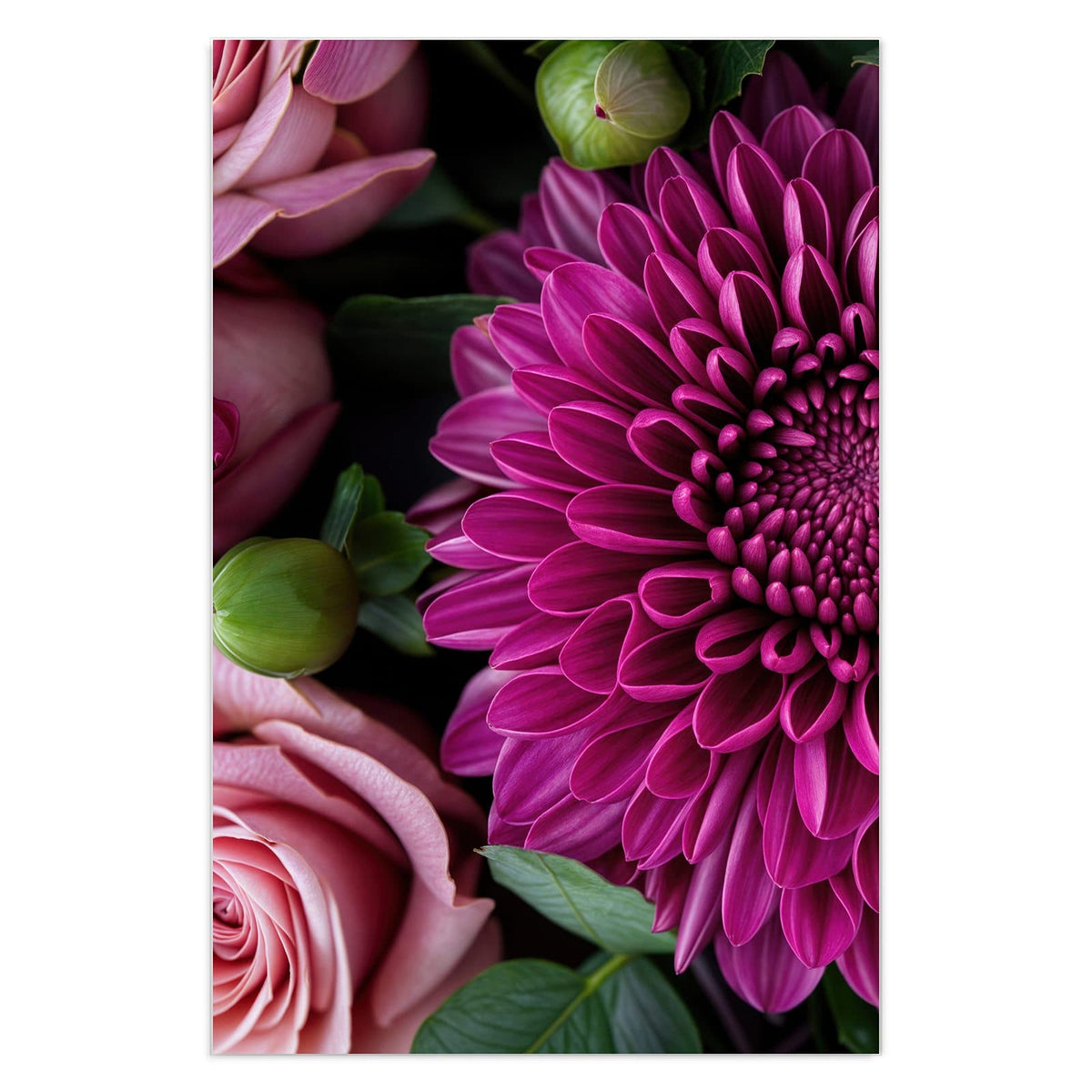 Magentafarbene Chrysantheme formatfüllend, nur Blätter und wenige rosa Blütenblätter am Rand