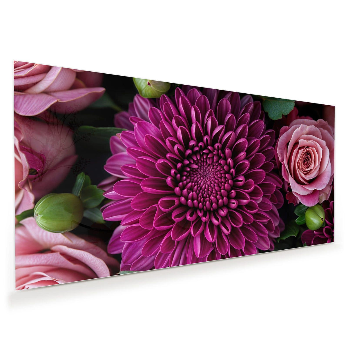 Magentafarbene Chrysantheme formatfüllend, nur Blätter und wenige rosa Blütenblätter am Rand