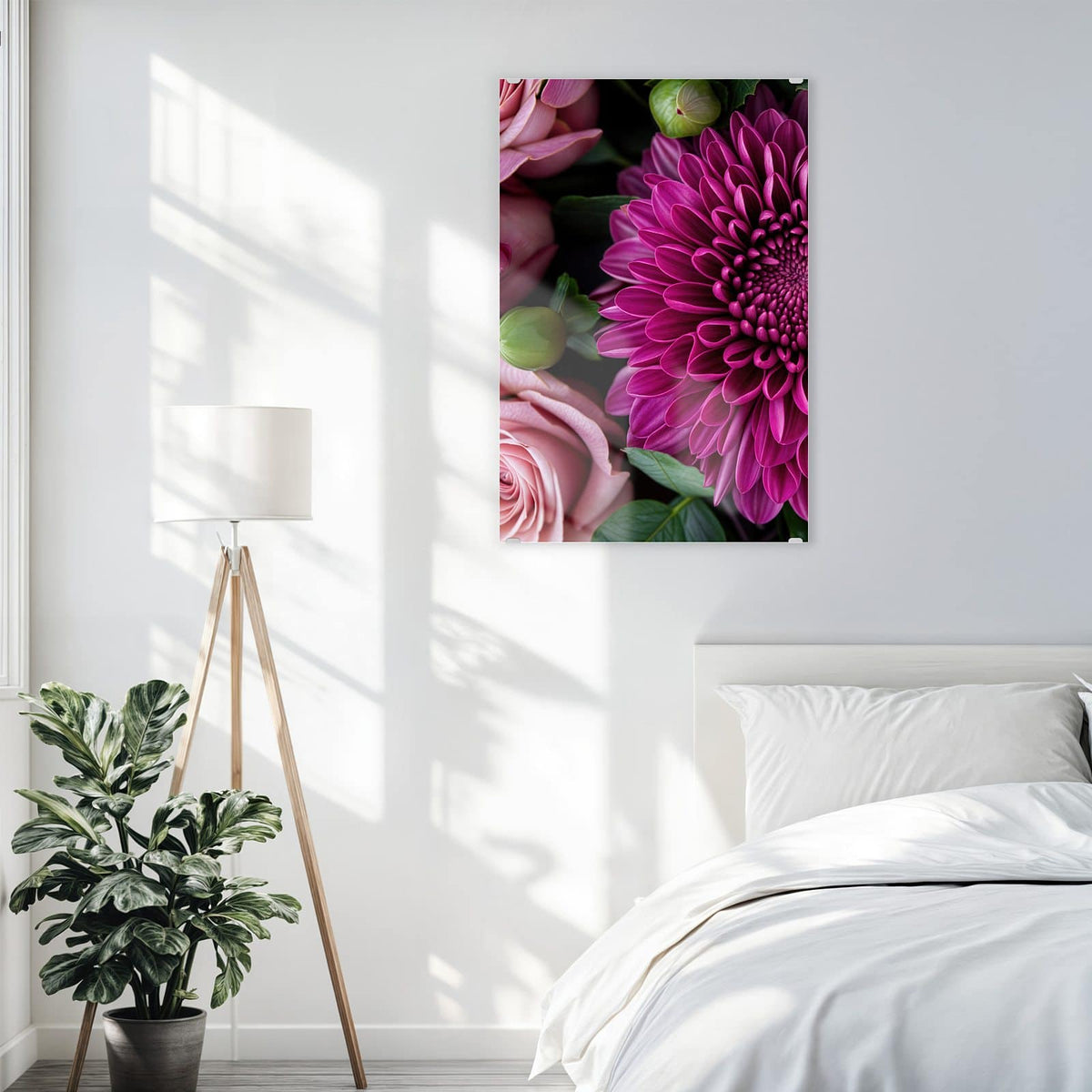 Glasbild Magenta Chrysantheme an der Wand – Magentafarbene Chrysantheme formatfüllend, nur Blätter und wenige rosa Blütenblätter am Rand