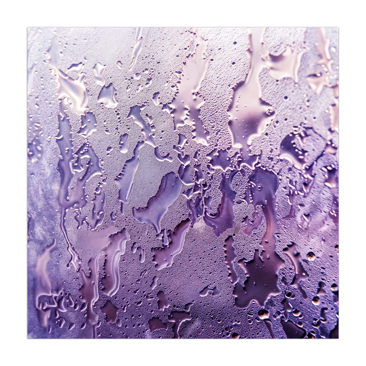 Küchenrückwand aus Glas Kondenstropfen in Lila im quadratischen Format, Motiv bildfüllend von vorn #grösse_40 x 40 cm #grösse_50 x 50 cm #grösse_60 x 60 cm