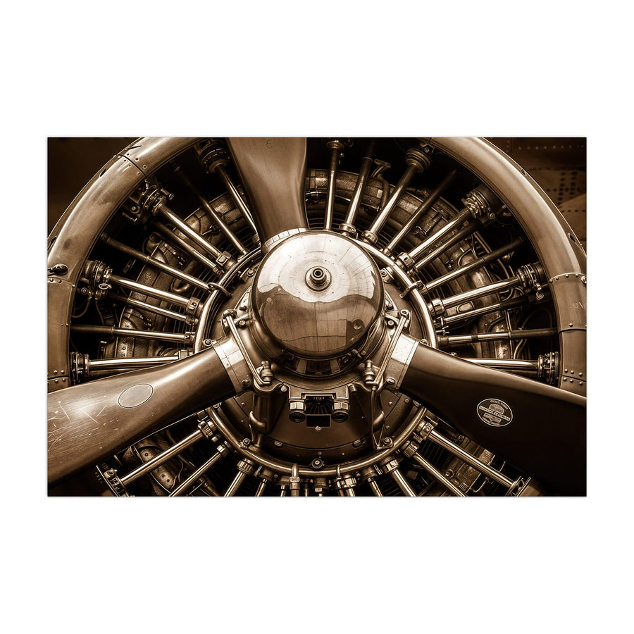 Maße Küchenrückwand Sternmotor in Sepia aus Glas