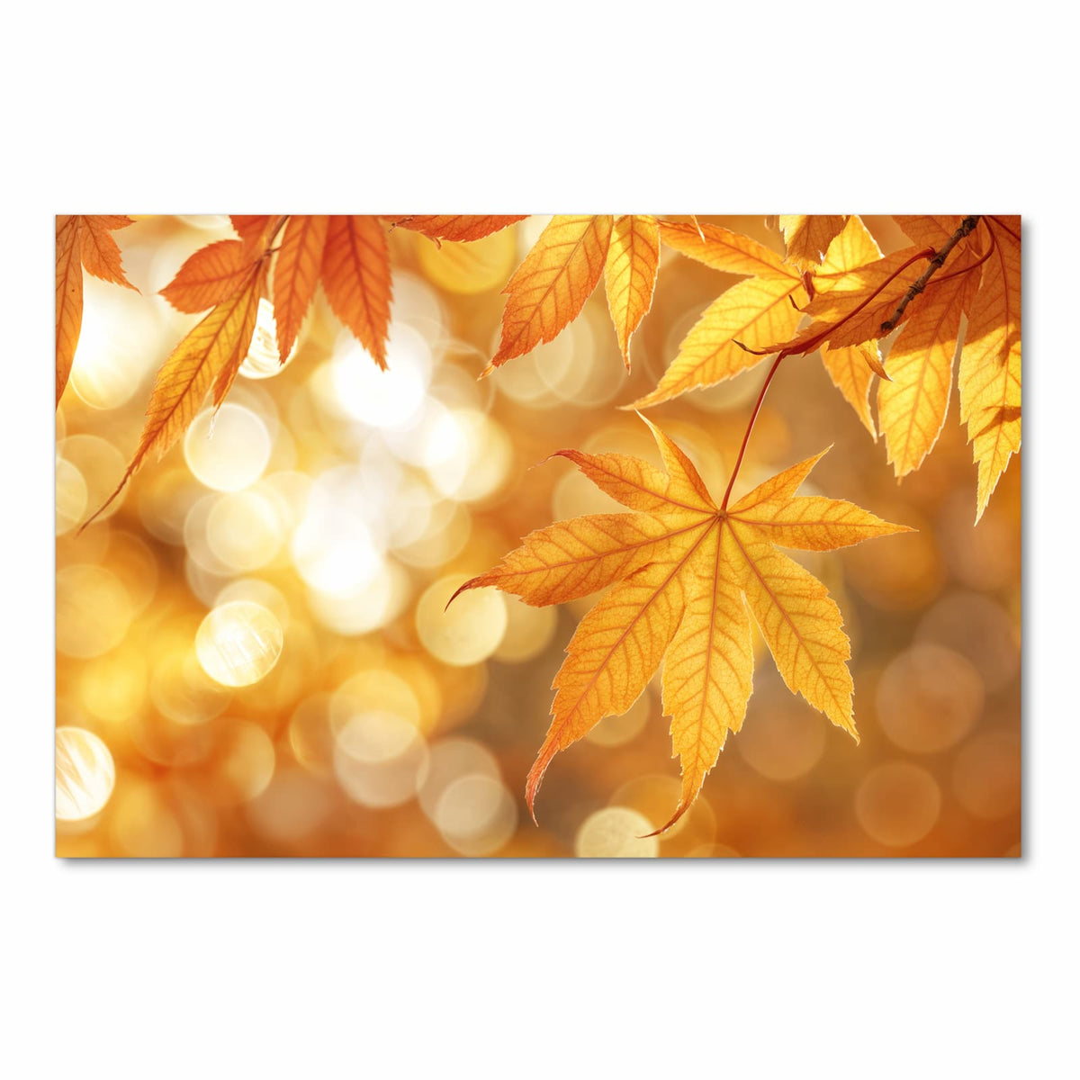 Waschbarer Küchenläufer mit Motiv Herbstlich Glitzernd in Frontansicht für angenehme Haptik