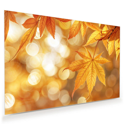 Wandbild mit dem Motiv Ahorn im Gegenlicht