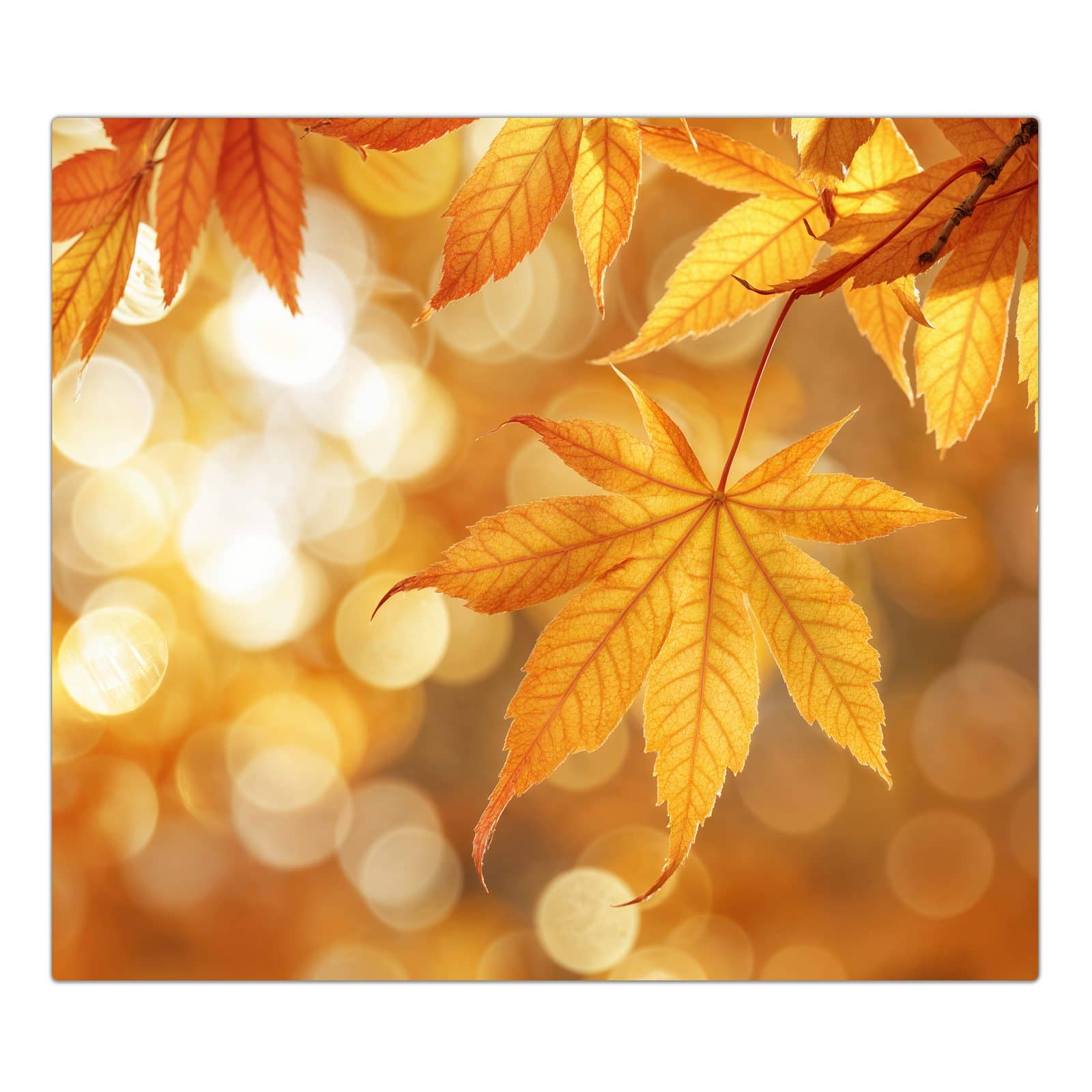 1-teilige Herdabdeckplatte aus Glas mit Herbstlich Glitzernd-Motiv in der Frontansicht #grösse_1-Teilig (60x52cm)