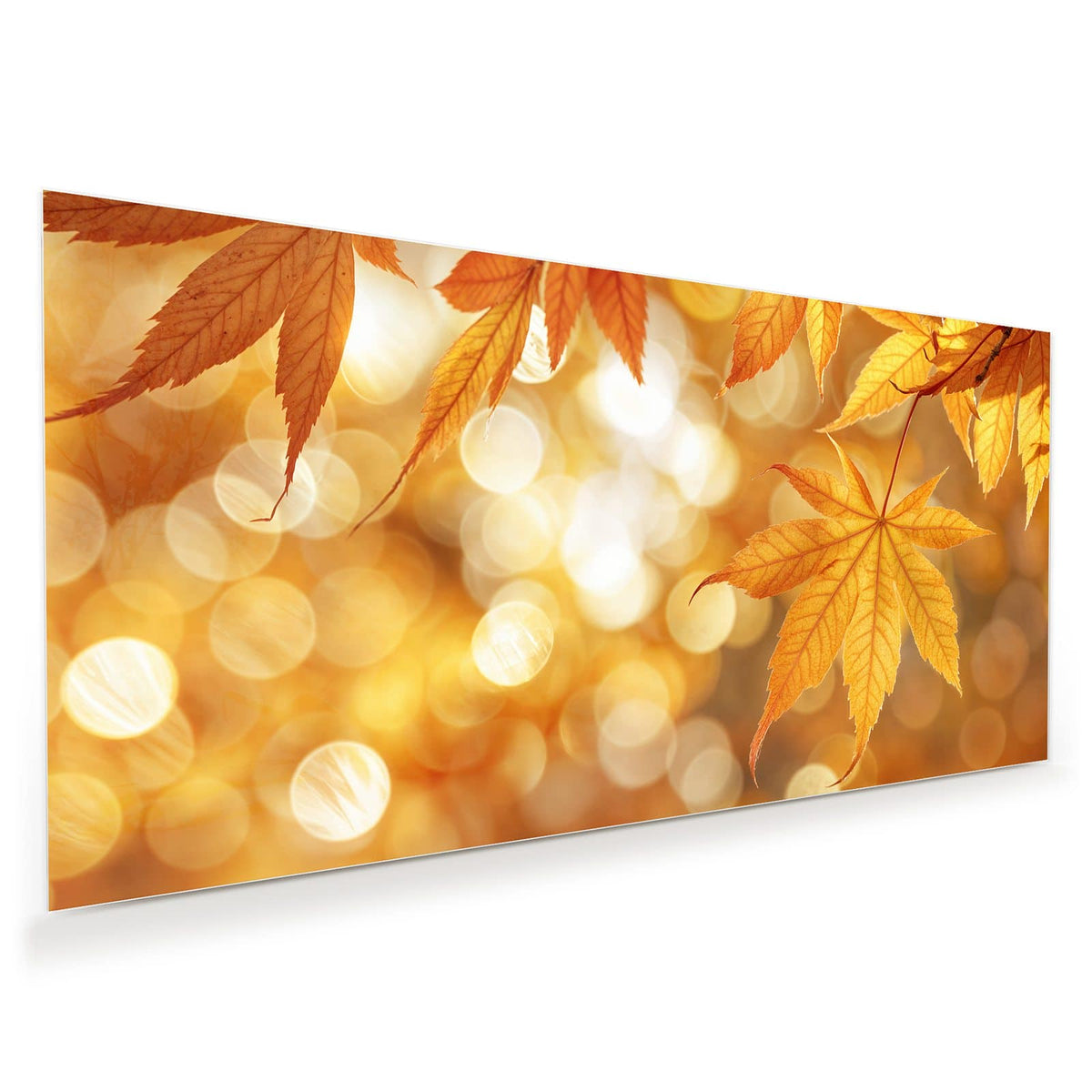 Goldgelbe Fächerahorn-Blätter im Gegenlicht vor goldenem Bokeh