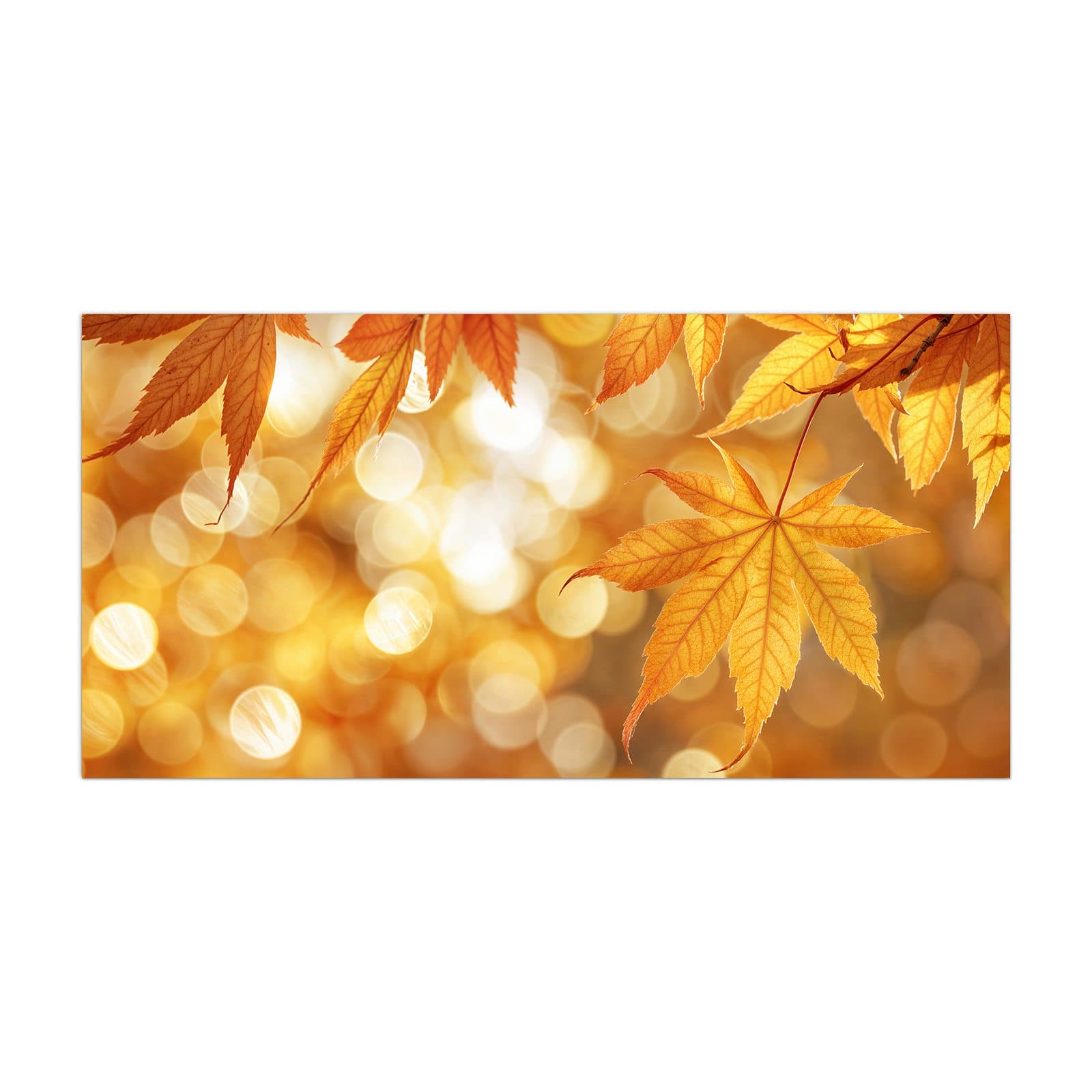 #grösse_40 x 80 cm #grösse_50 x 100 cm #grösse_55 x 110 cm #grösse_60 x 120 cm