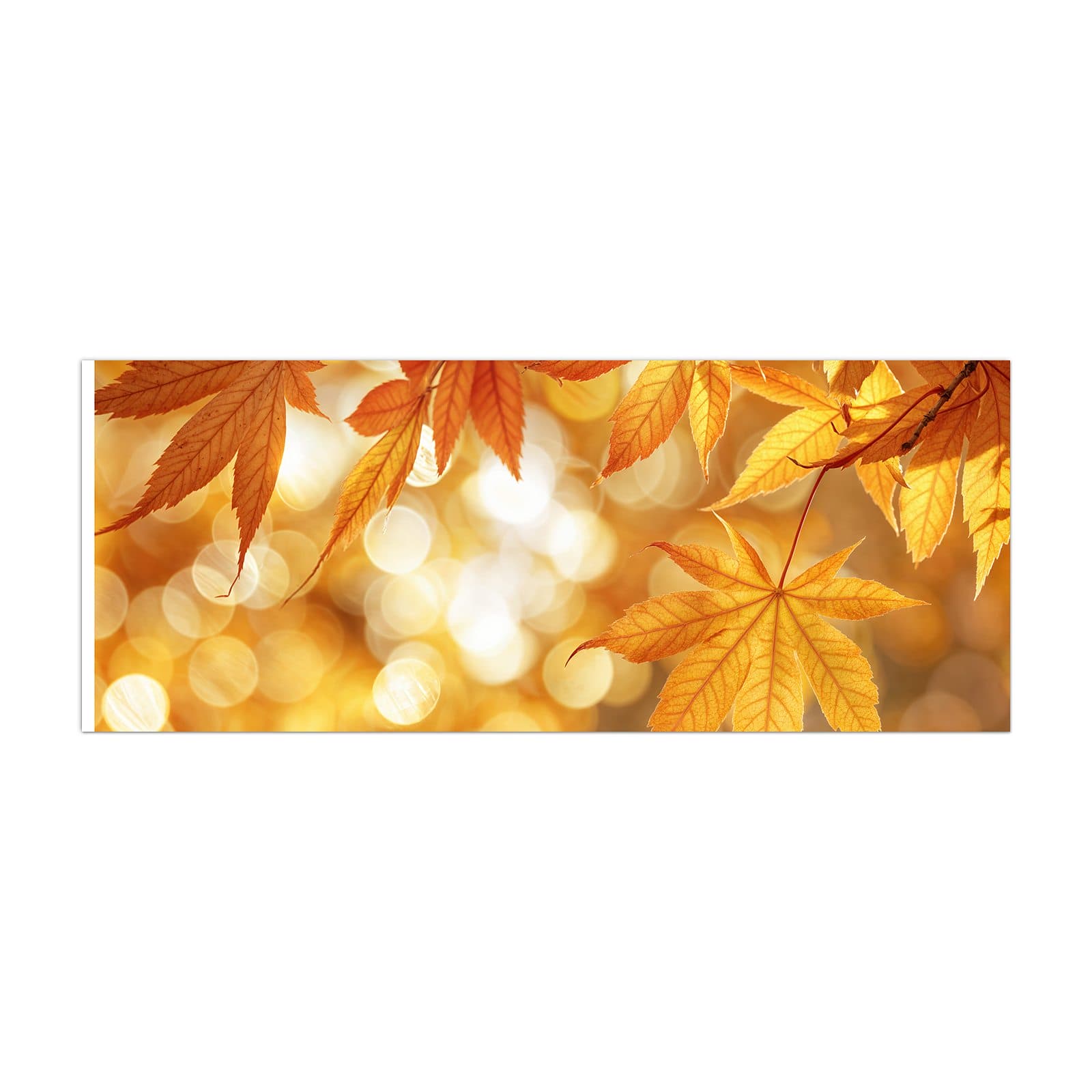 #grösse_40 x 100 cm #grösse_50 x 125 cm #grösse_60 x 150 cm