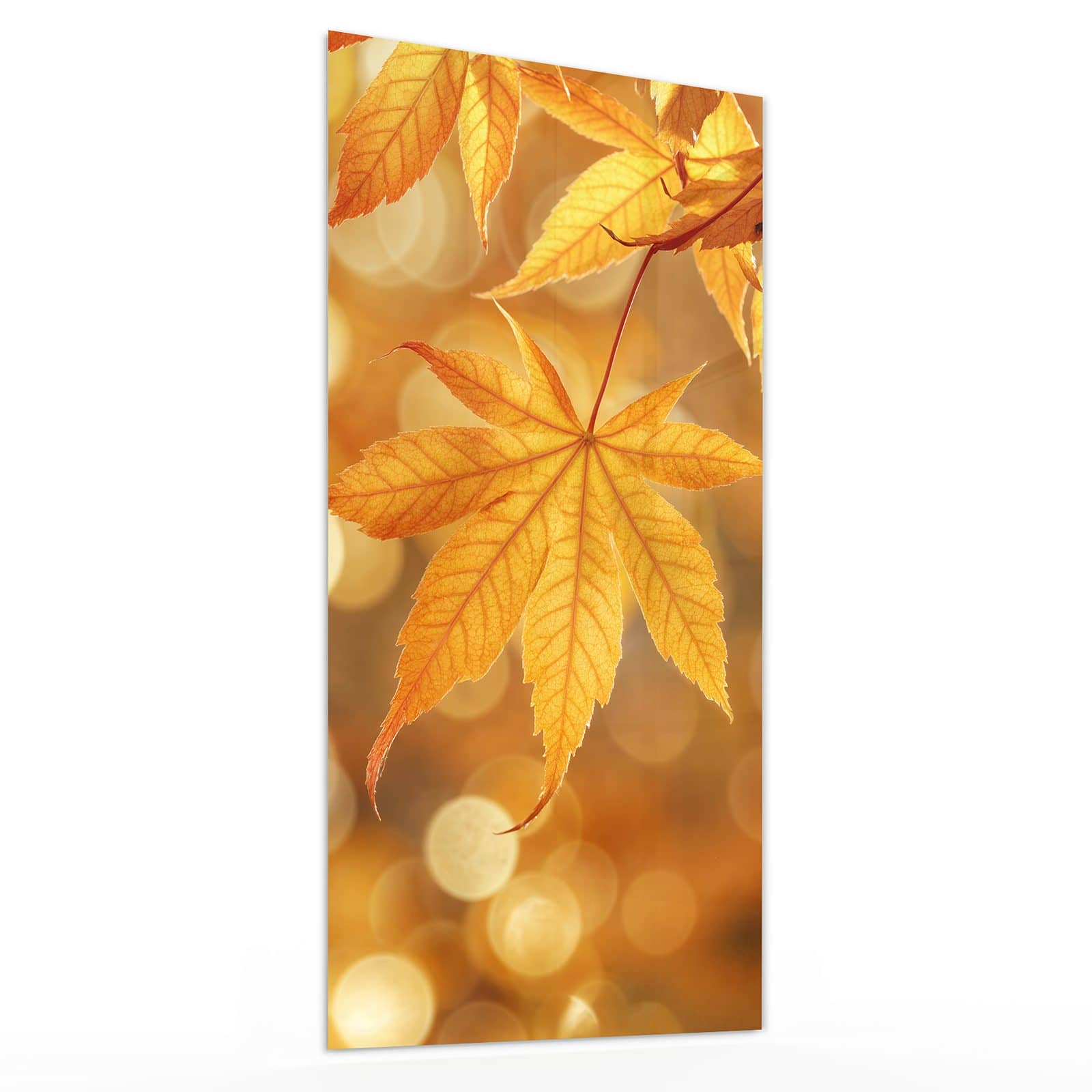 #grösse_30 x 60 cm #grösse_40 x 80 cm #grösse_50 x 100 cm #grösse_55 x 110 cm #grösse_60 x 120 cm