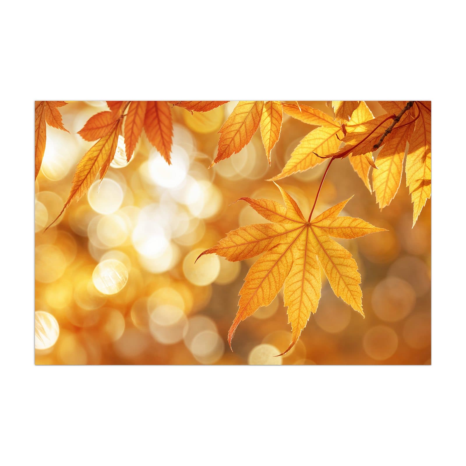 #grösse_40 x 60 cm #grösse_50 x 75 cm #grösse_60 x 90 cm #grösse_80 x 120 cm