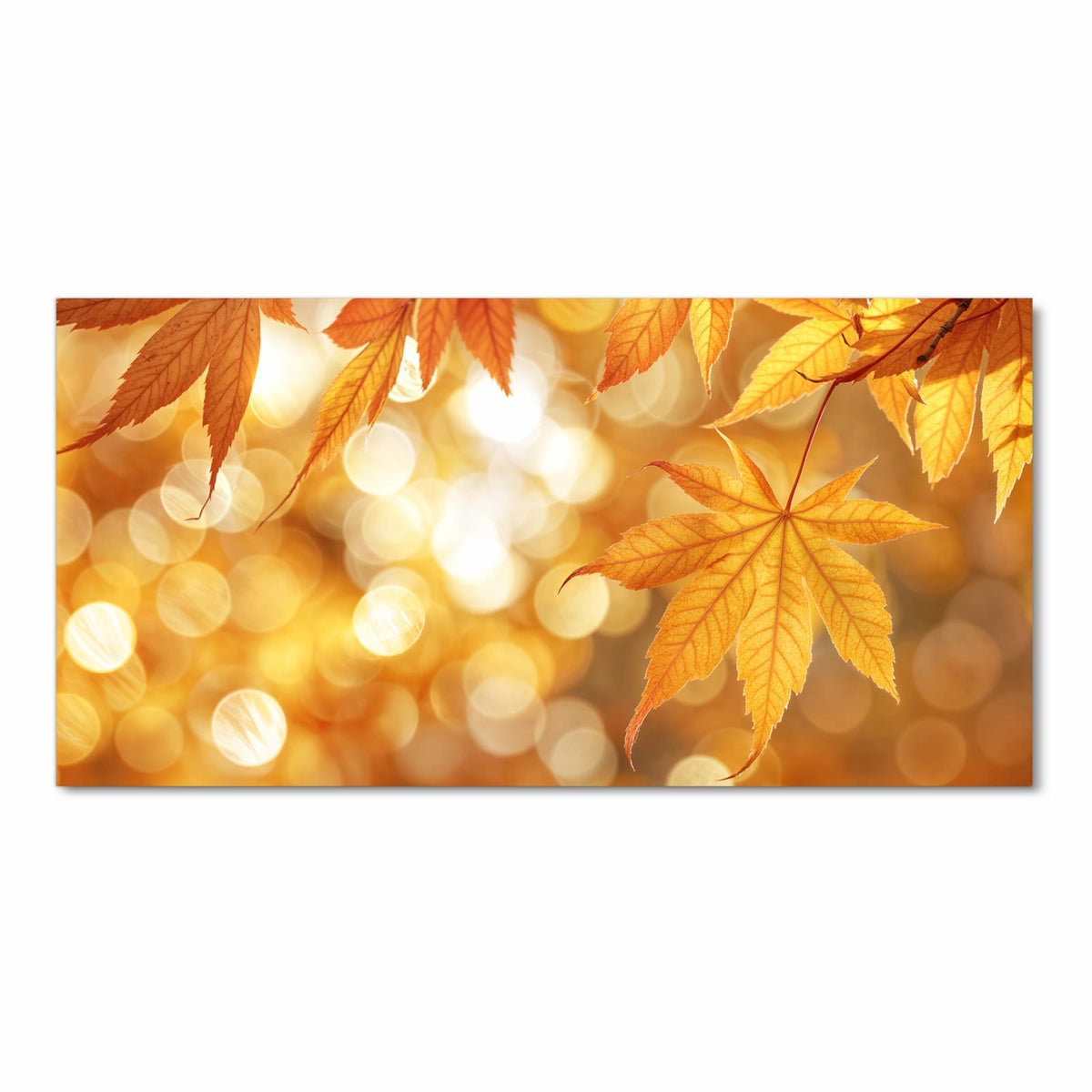 Langlebiger waschbarer Küchenteppich mit Motiv Herbstlich Glitzernd in Frontansicht