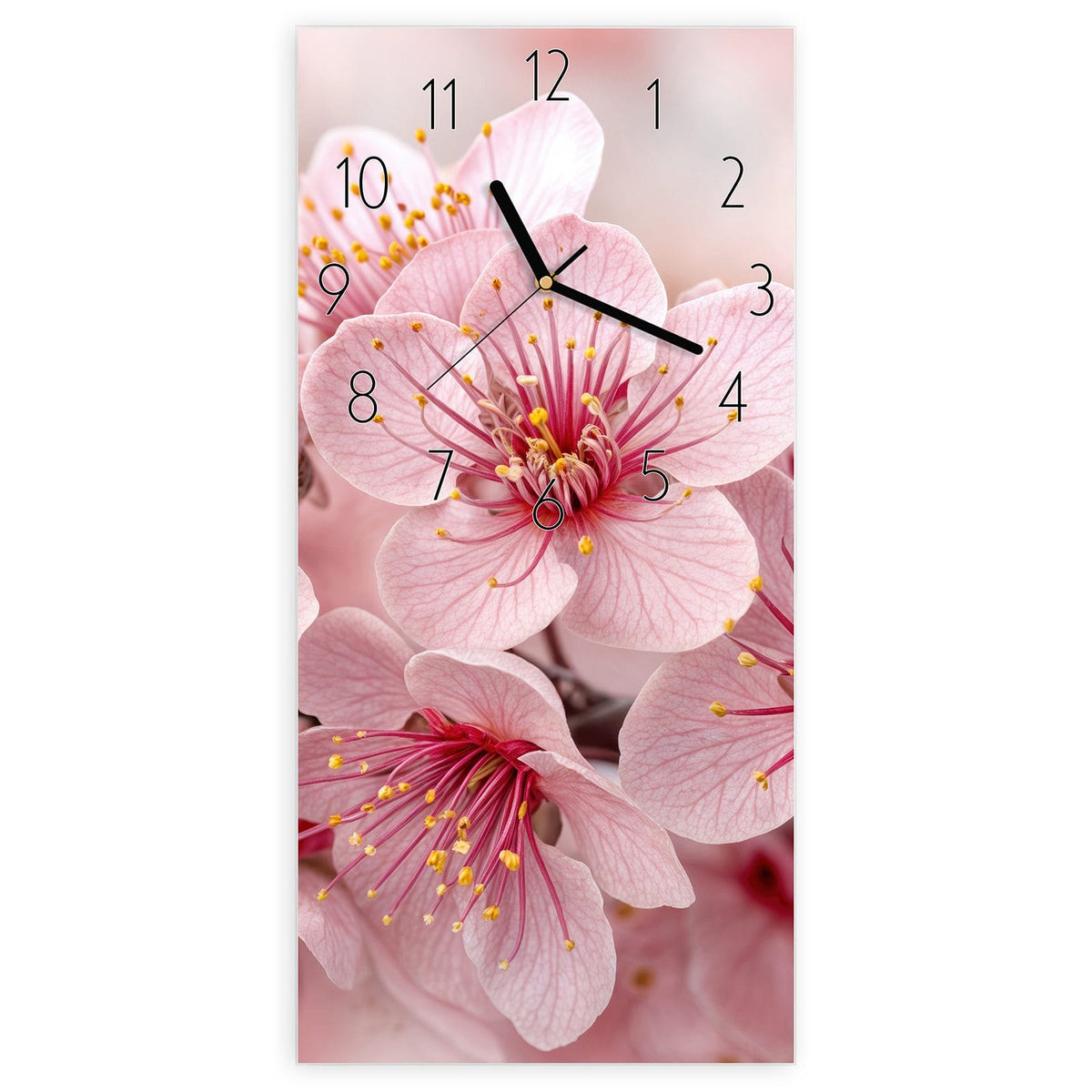 Wanduhr aus Glas, Ziffernblatt Elegant: Nahaufnahme rosa-weißer Kirschblüten mit roten Staubgefäßen #ziffernblatt_Elegant