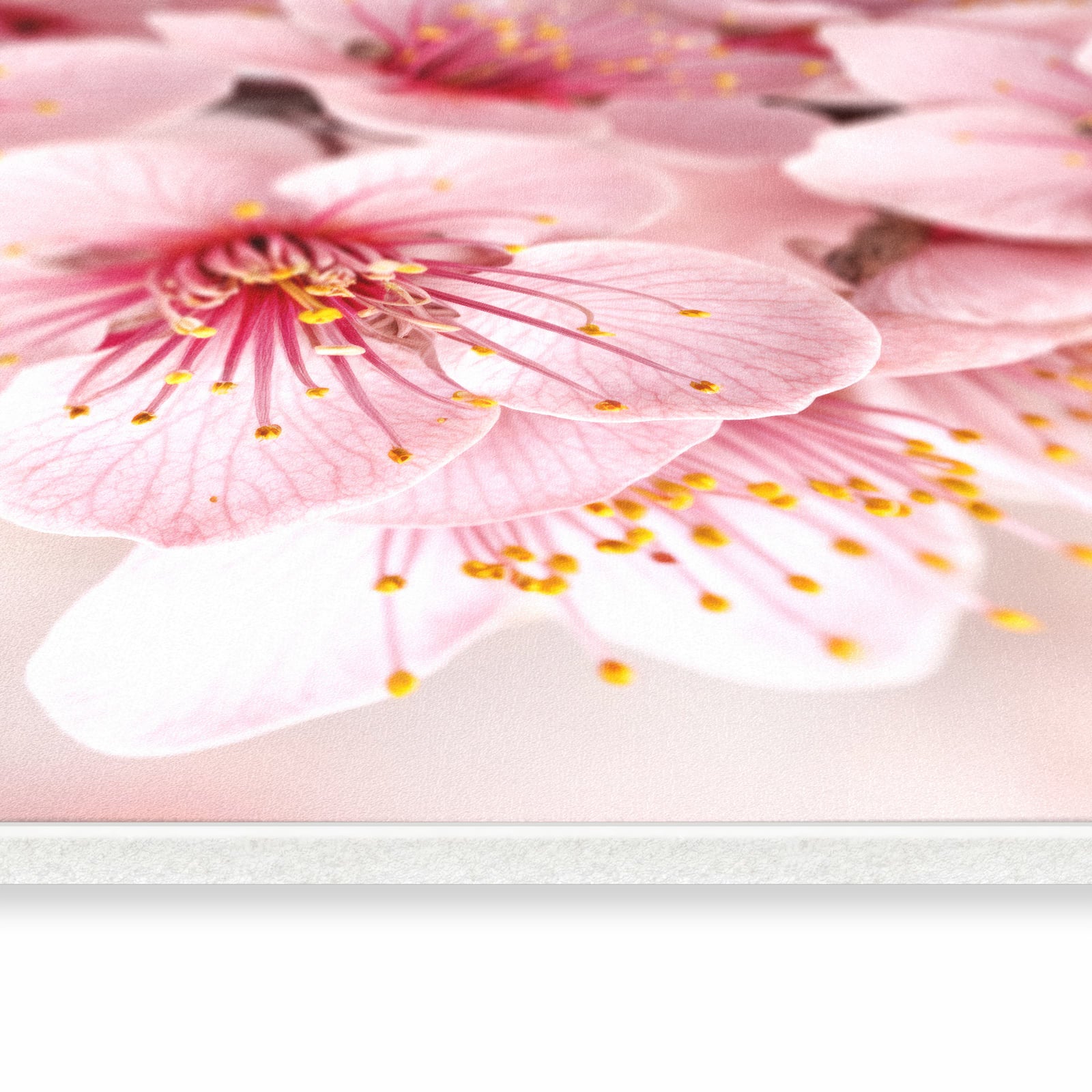 Fleckenresistenter Küchenläufer nach Maß mit Motiv Kirschblütenzweig in seitlicher Ansicht