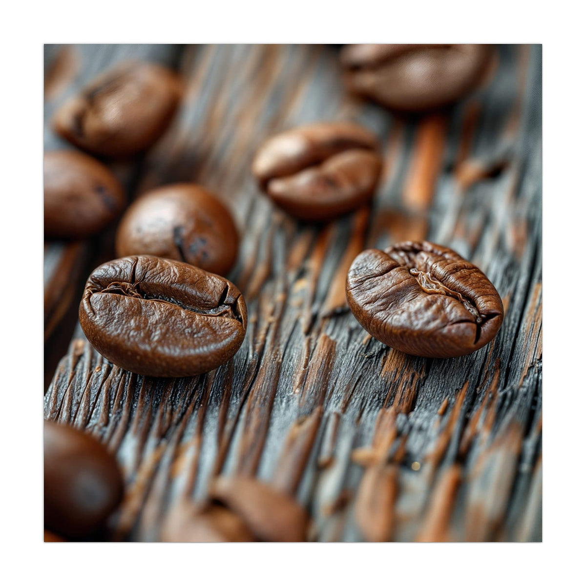 Makro von zwei scharf gestellten Kaffeebohnen auf grau verwittertem Holz