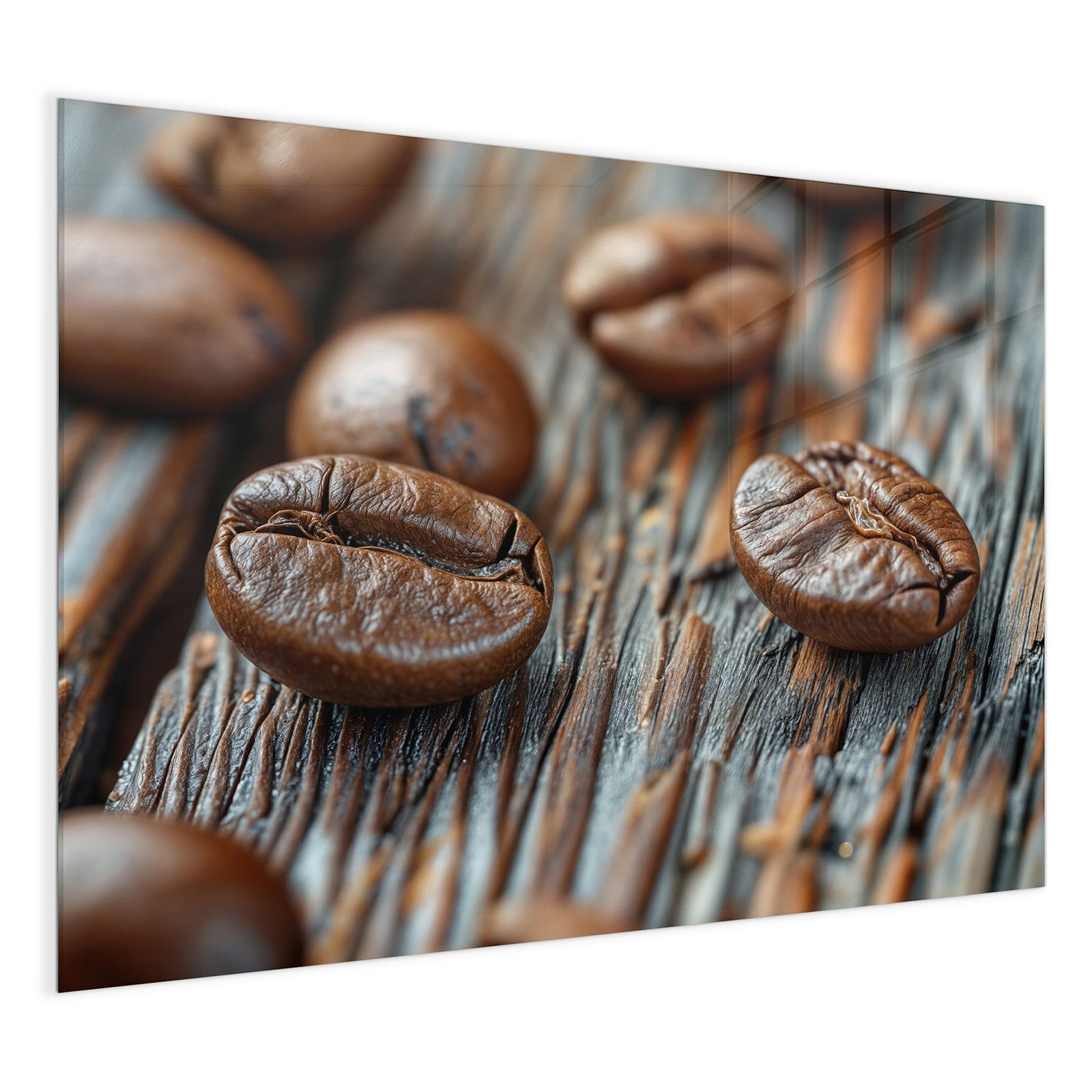 #grösse_120 x 90 cm