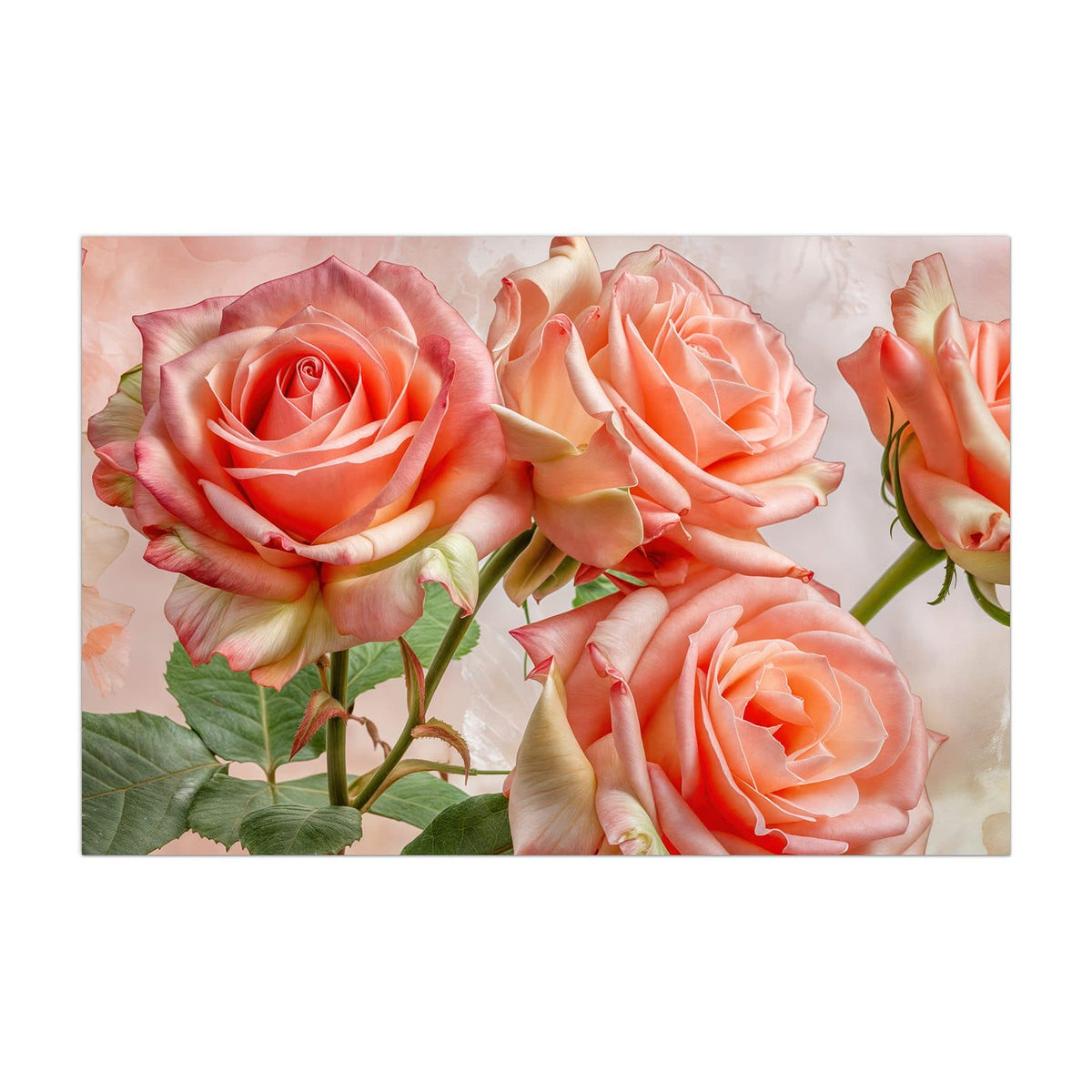 Küchenrückwand aus Glas Korallenrote Rosen im Hochformat, Motiv bildfüllend von vorn