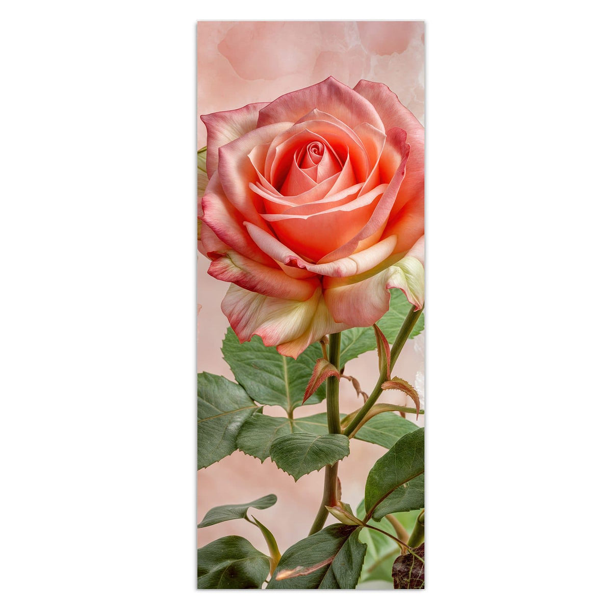 Drei geöffnete Rosen in Korallen-/Lachsrosa mit grünen Blättern vor zartrosa Grund