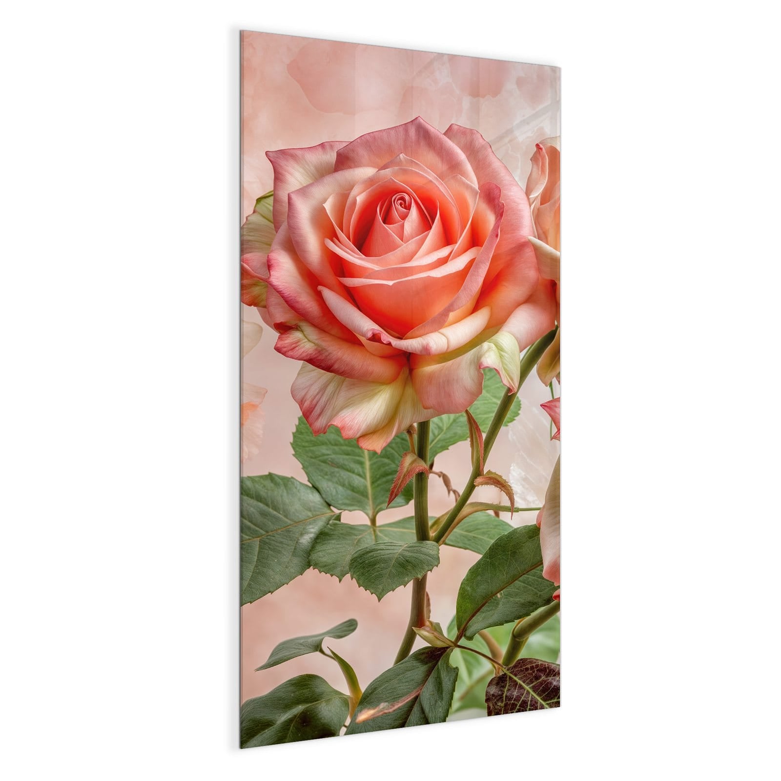 #grösse_50 x 100 cm