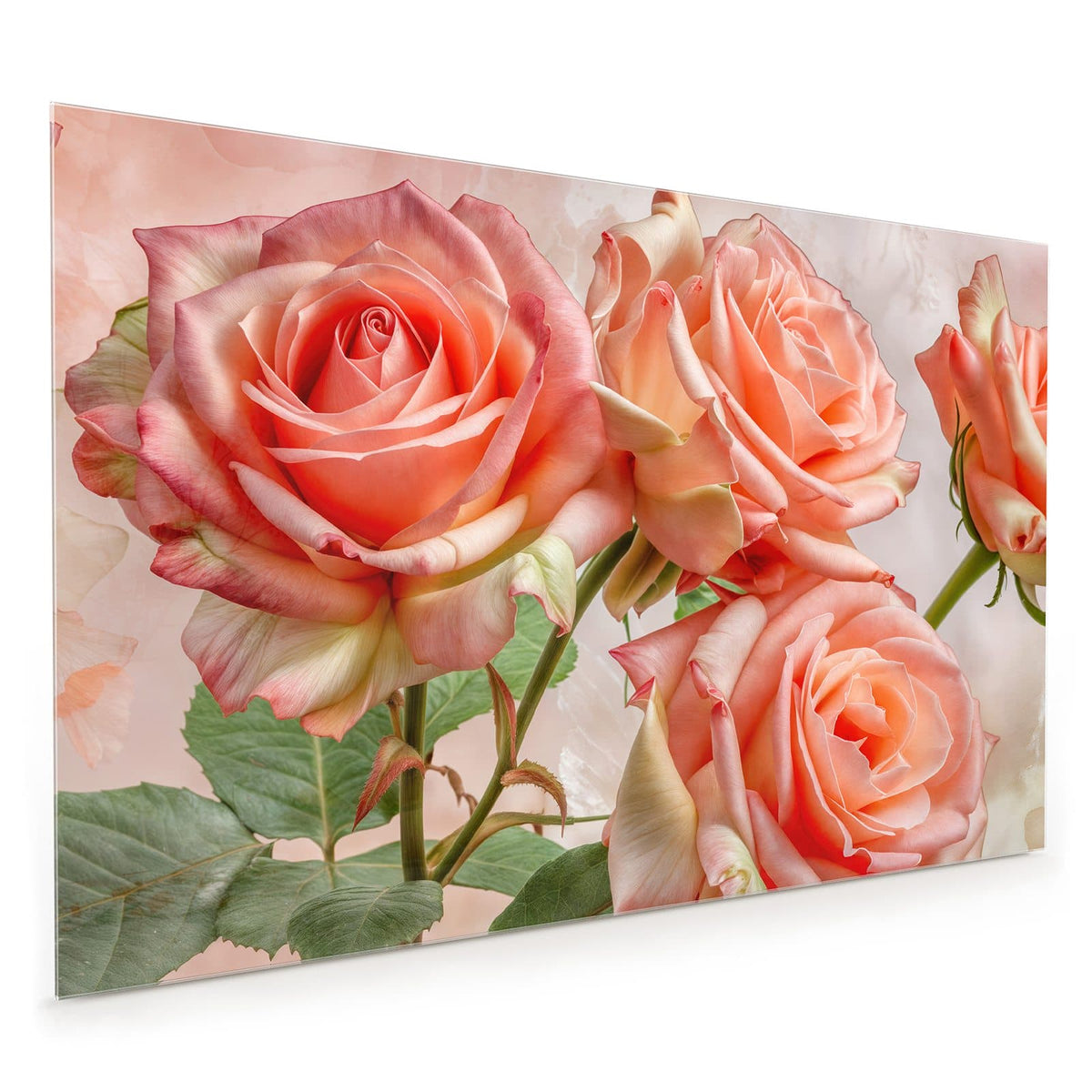 Küchenrückwand aus Glas im Hochformat: Drei geöffnete Rosen in Korallen-/Lachsrosa mit grünen Blättern vor zartrosa Grund