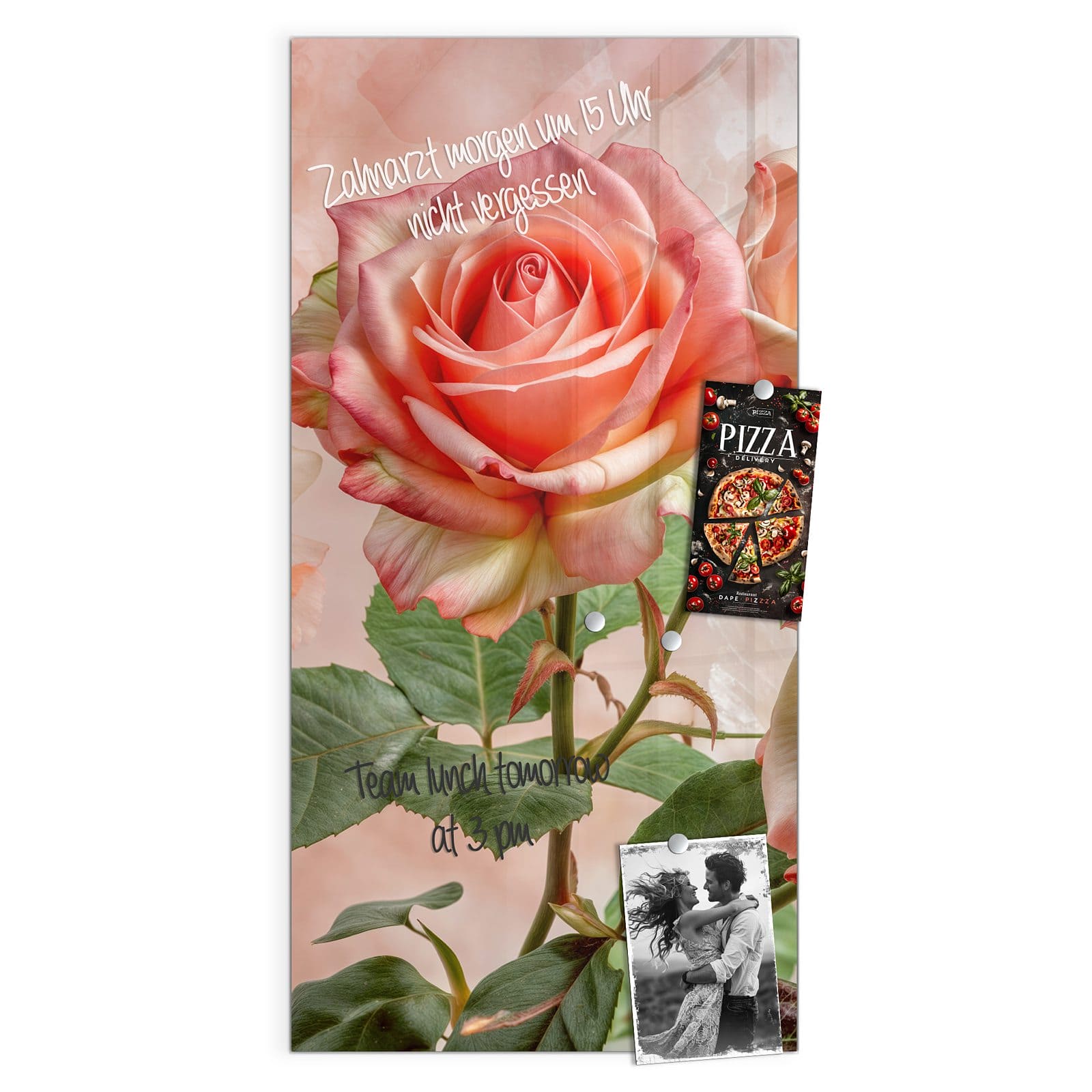 #grösse_50 x 100 cm