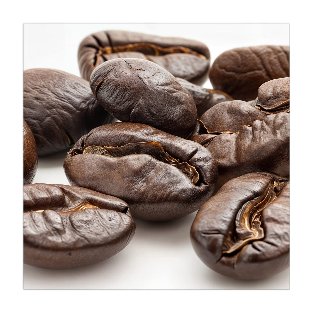 Makroaufnahme weniger dunkel gerösteter Kaffeebohnen vor weißem Grund