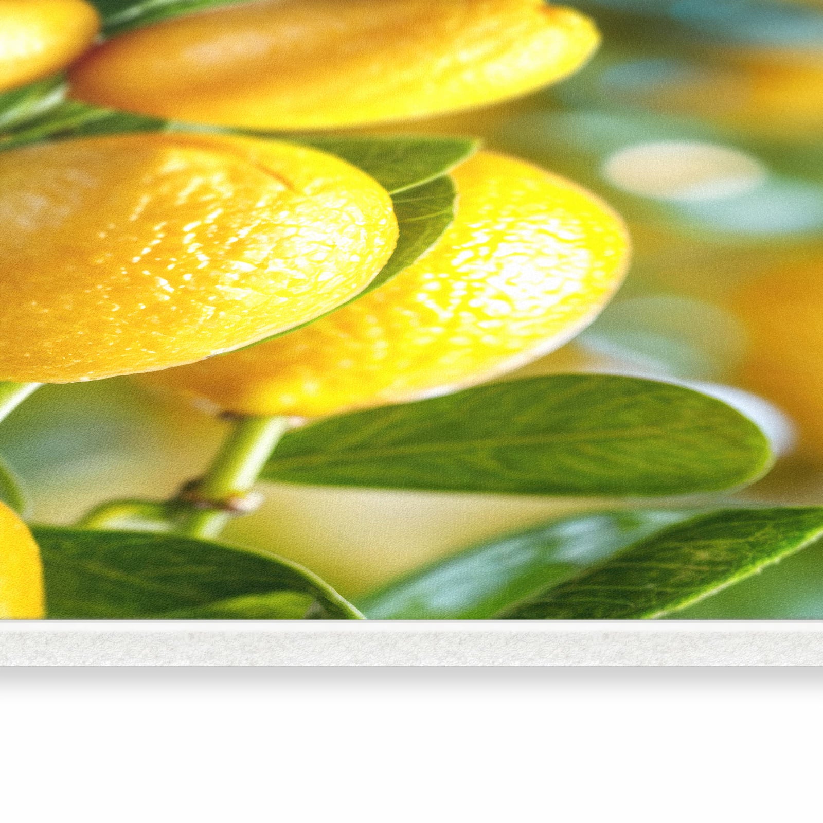 Farbbeständiger Küchenläufer mit Motiv Zitronenbaumstrauch in seitlicher Ansicht