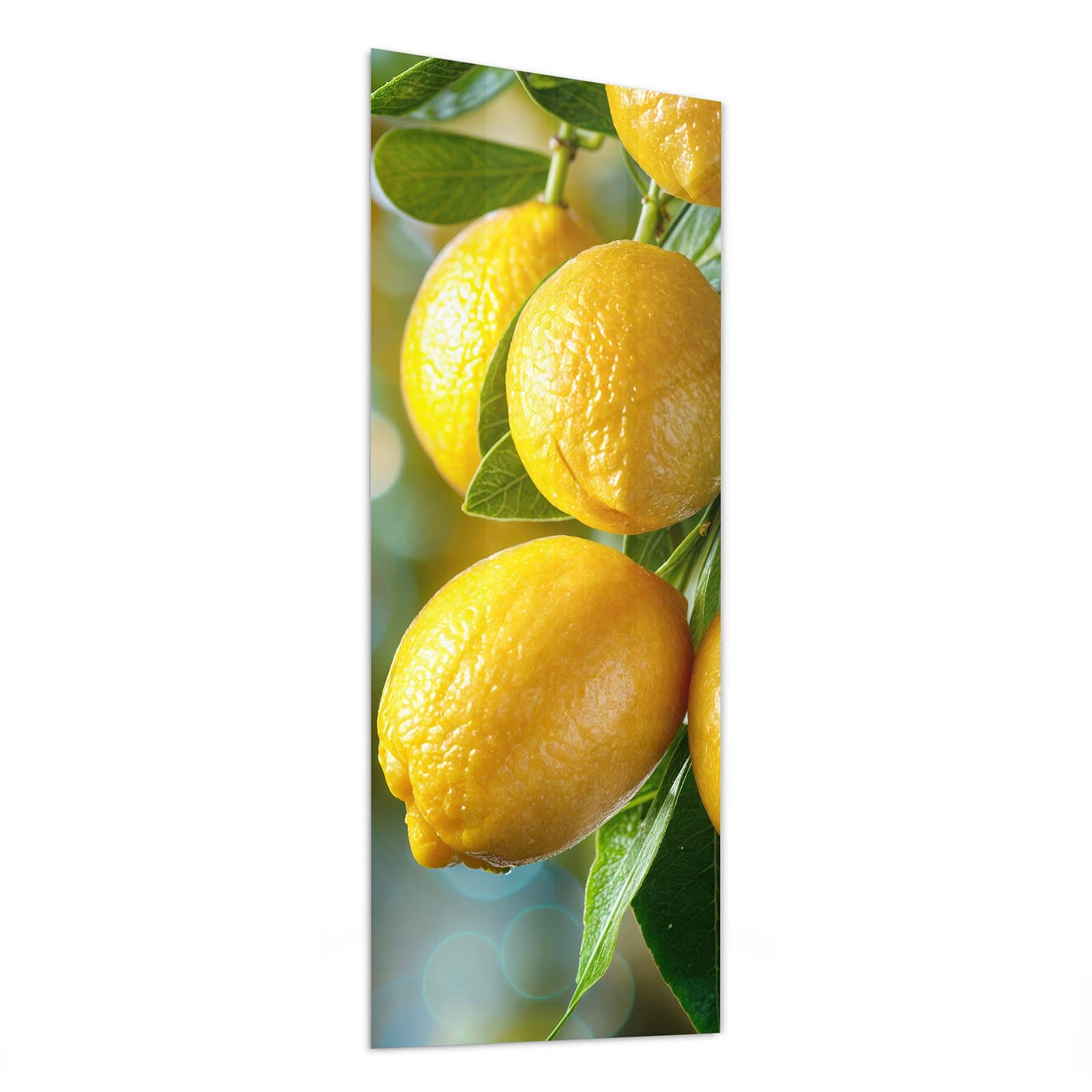 #grösse_50 x 125 cm #grösse_40 x 100 cm #grösse_60 x 150 cm