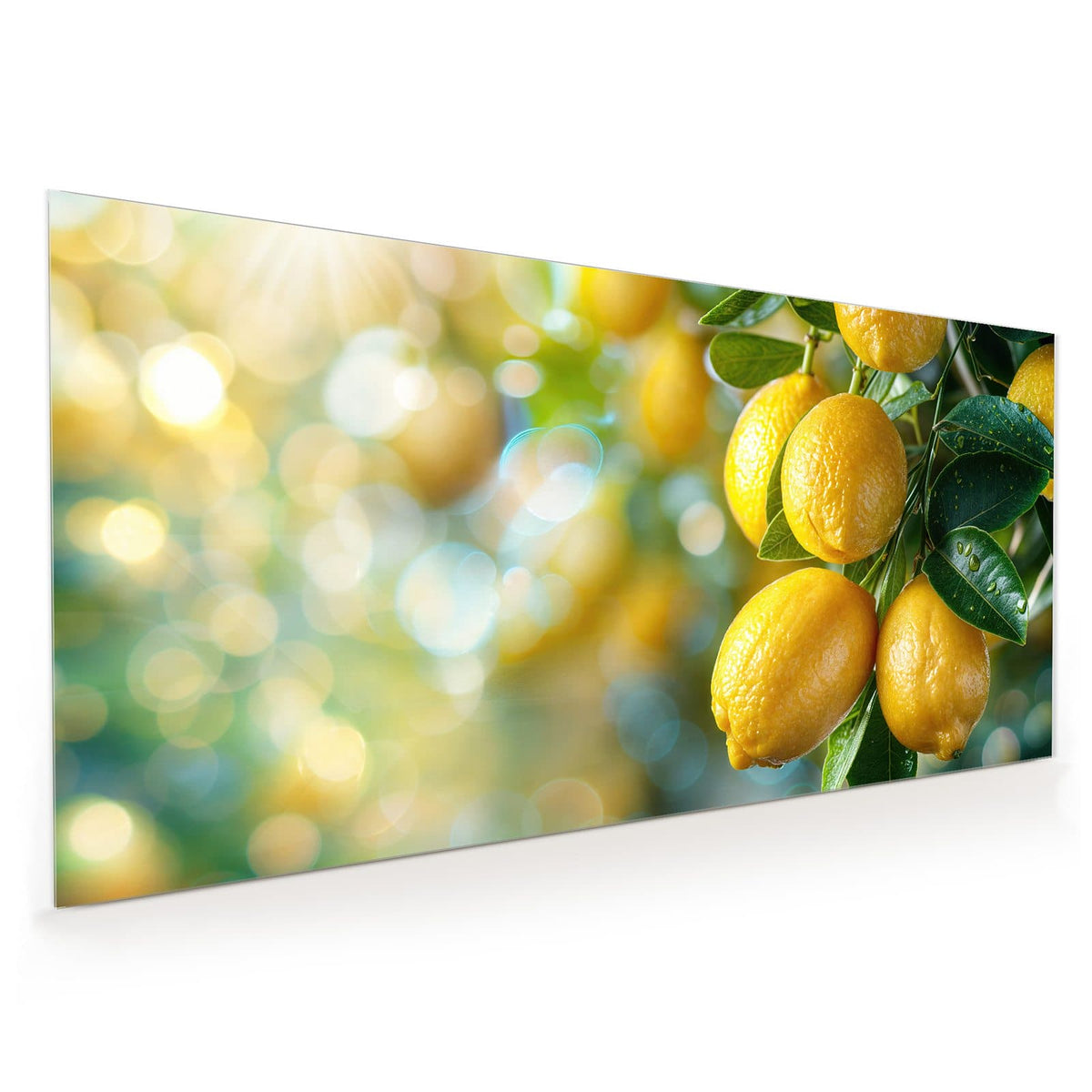 Küchenrückwand aus Glas im Hochformat mit Motiv Zitronen im Blattwerk: Reife Zitronen an belaubten Zweigen mit Wassertropfen vor blau-grünem Bokeh