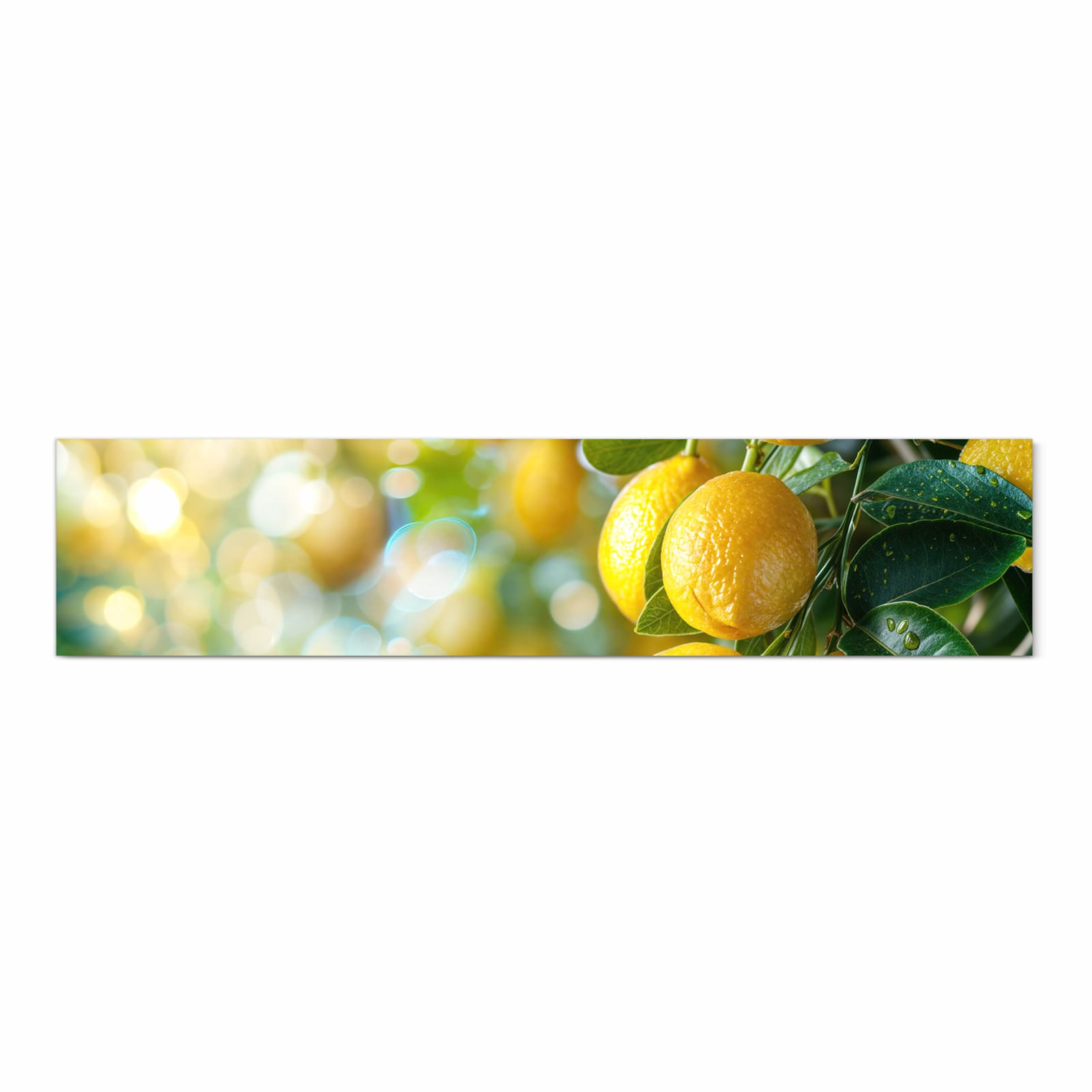 Fleckenresistenter großer Küchenteppich mit Motiv Zitronenbaumstrauch in Frontansicht