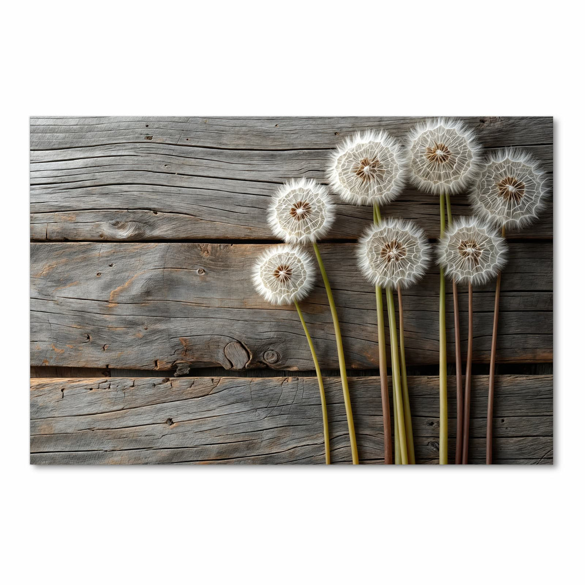 Küchenläufer mit Motiv Pusteblumen Holzoptik in Frontansicht für angenehme Haptik
