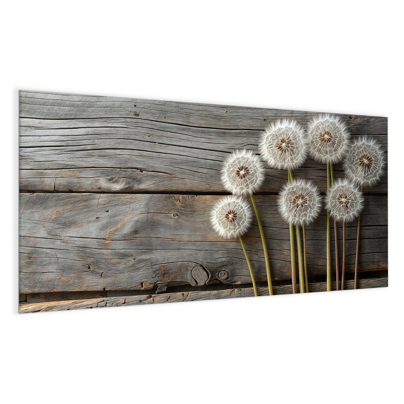 #grösse_100 x 50 cm