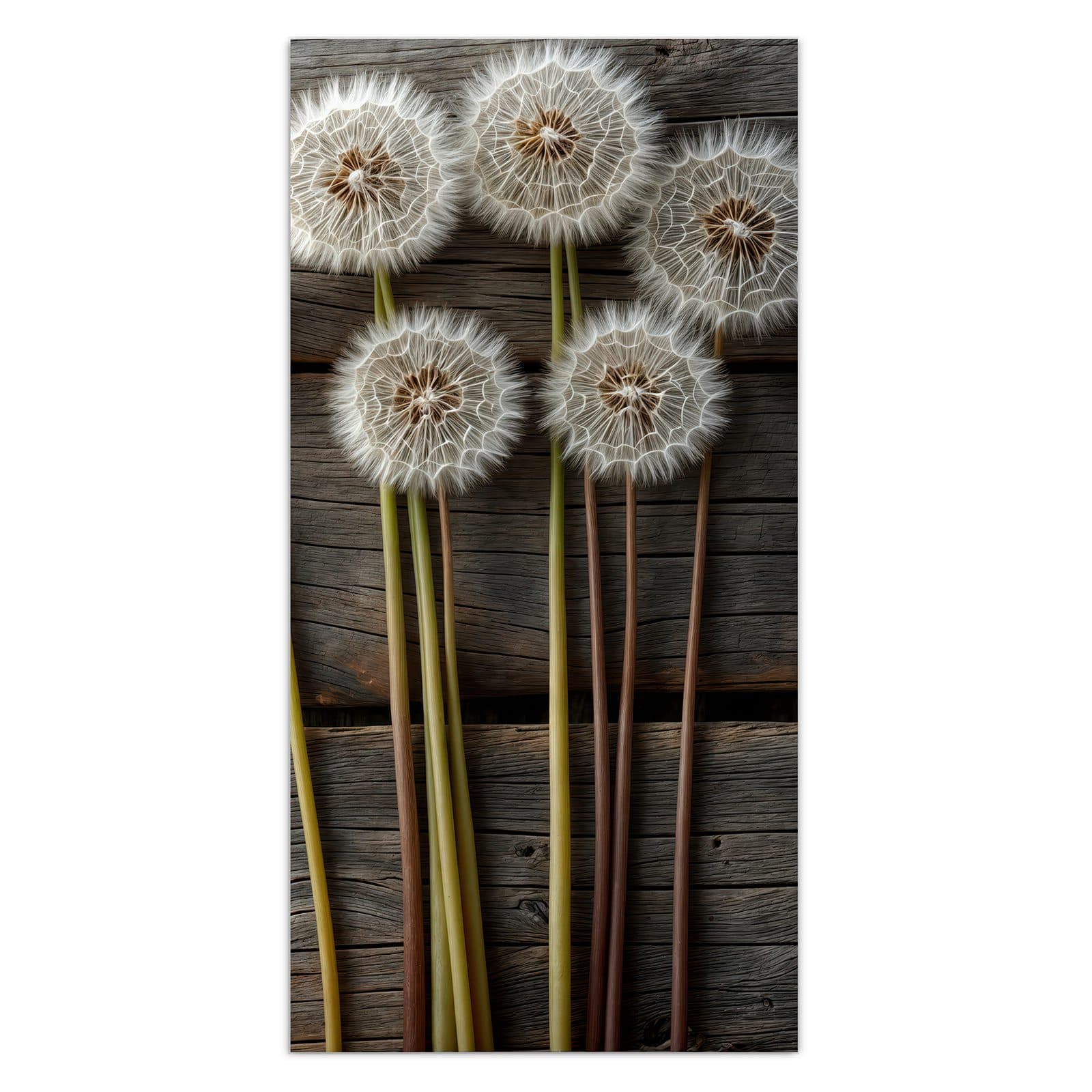 #grösse_30 x 60 cm #grösse_40 x 80 cm #grösse_50 x 100 cm #grösse_55 x 110 cm #grösse_60 x 120 cm