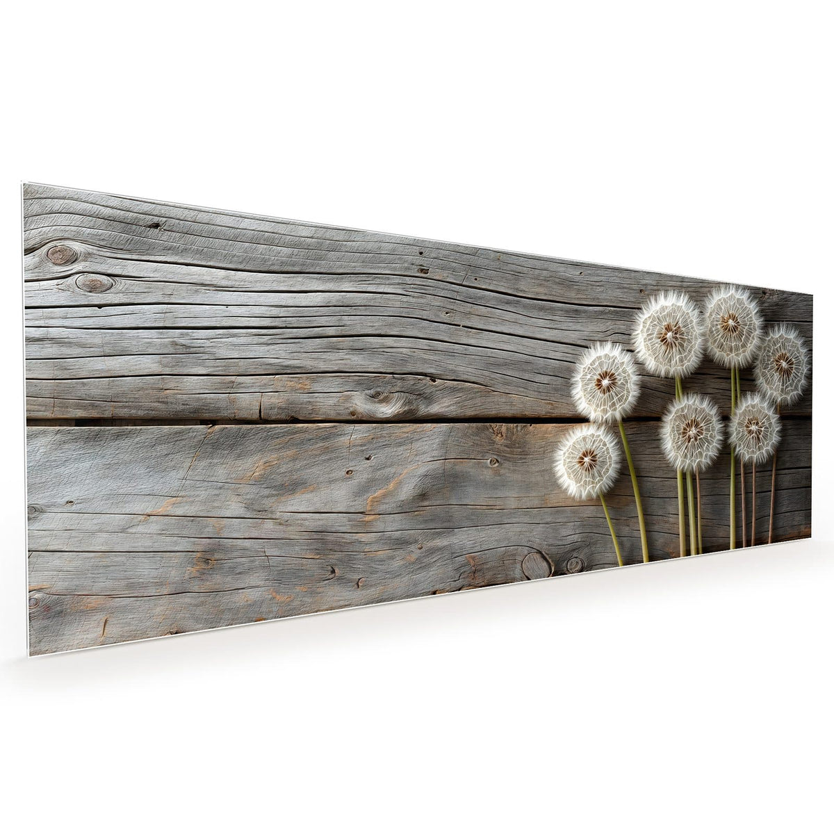 Küchenrückwand aus Glas im Hochformat: Sieben weiße Pusteblumen mit langen Stielen vor grauer, verwitterter Holzwand