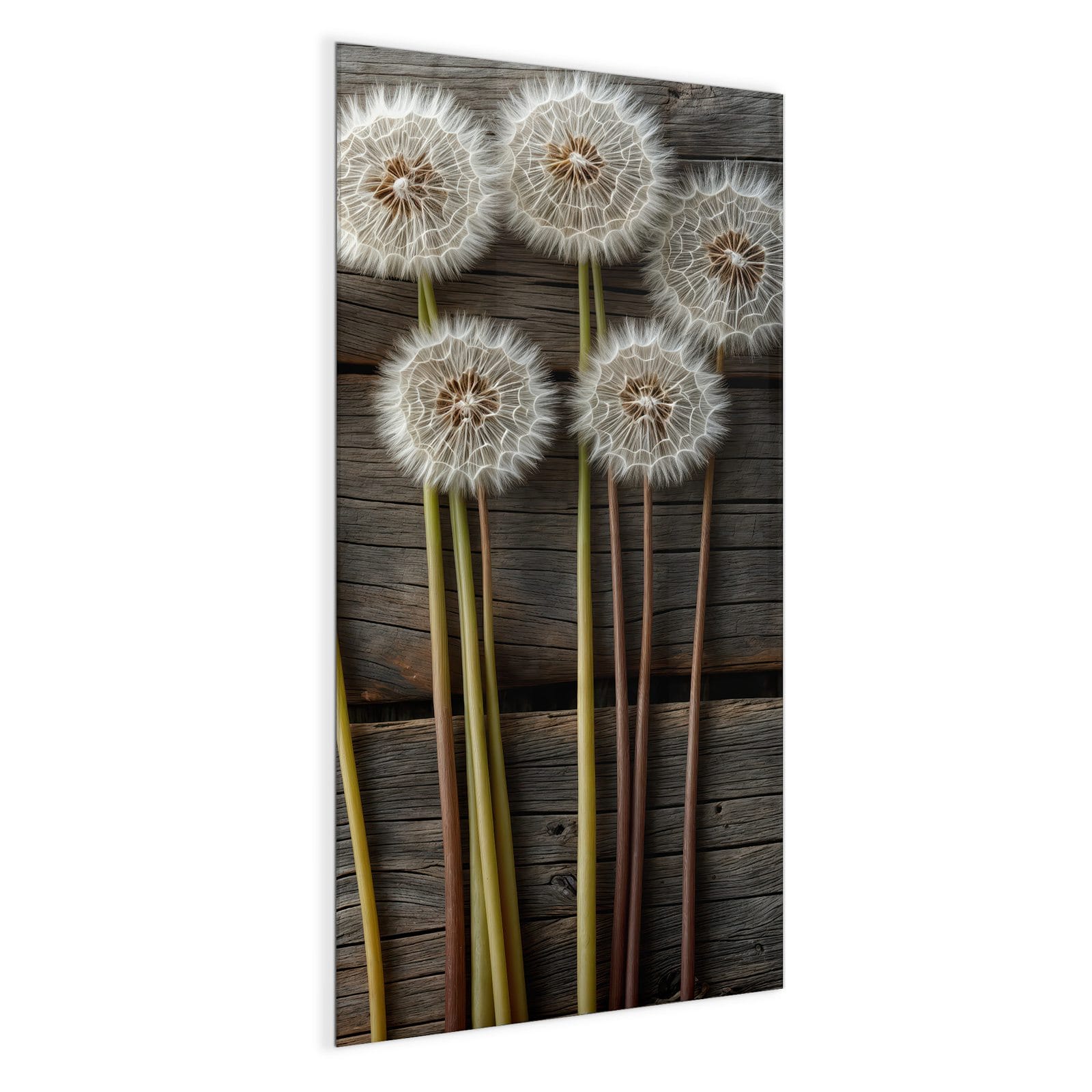 #grösse_50 x 100 cm