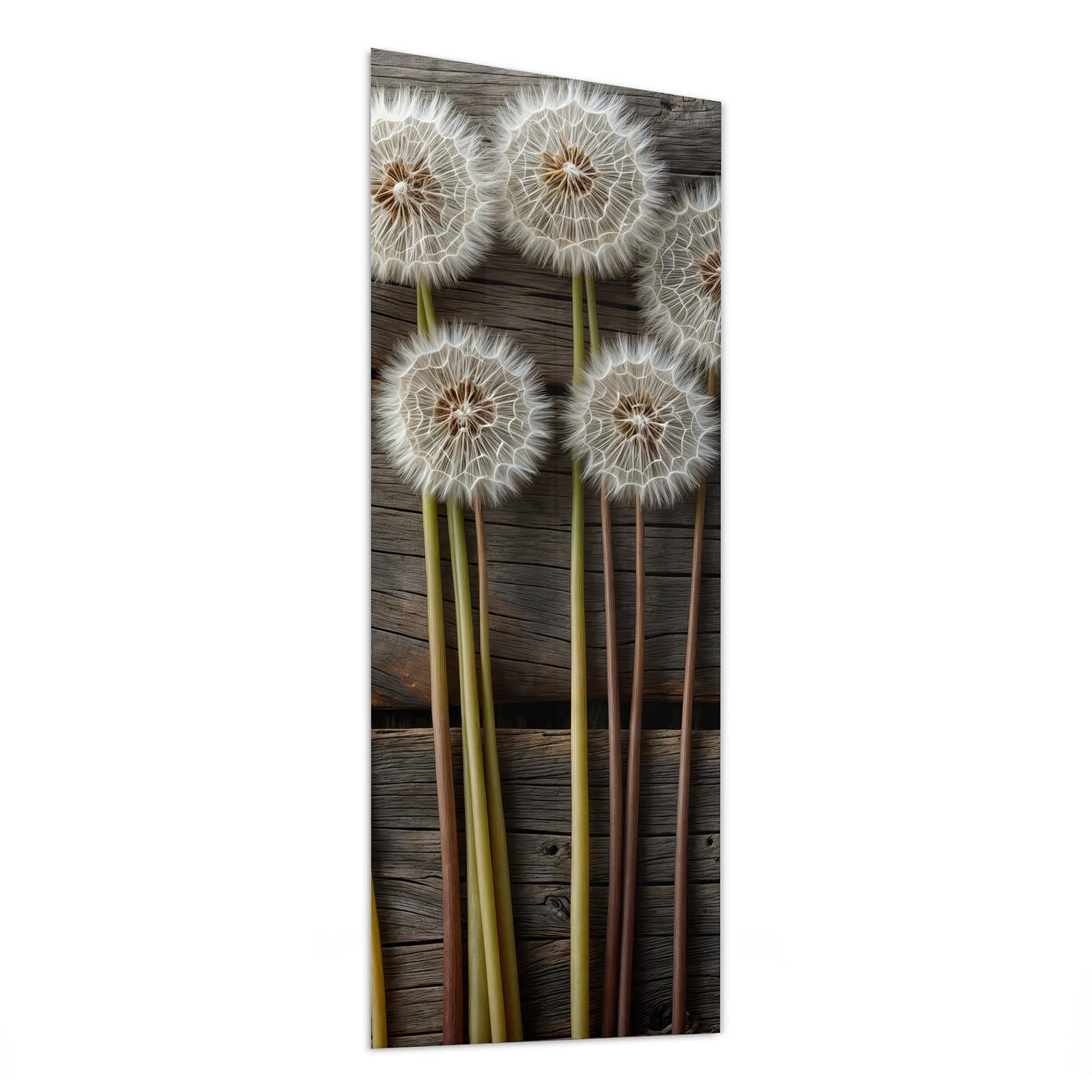 #grösse_50 x 125 cm #grösse_40 x 100 cm #grösse_60 x 150 cm