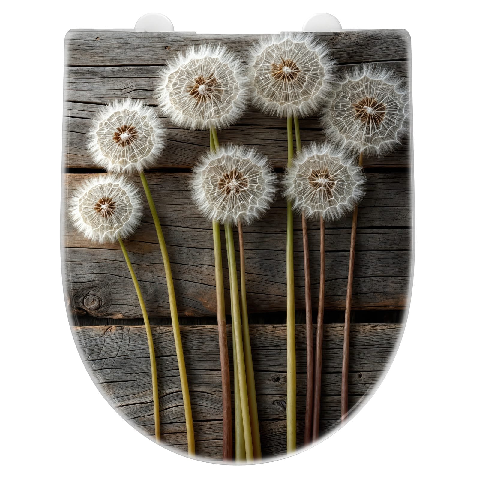 WC-Sitz mit Absenkautomatik Pusteblumen Holzoptik