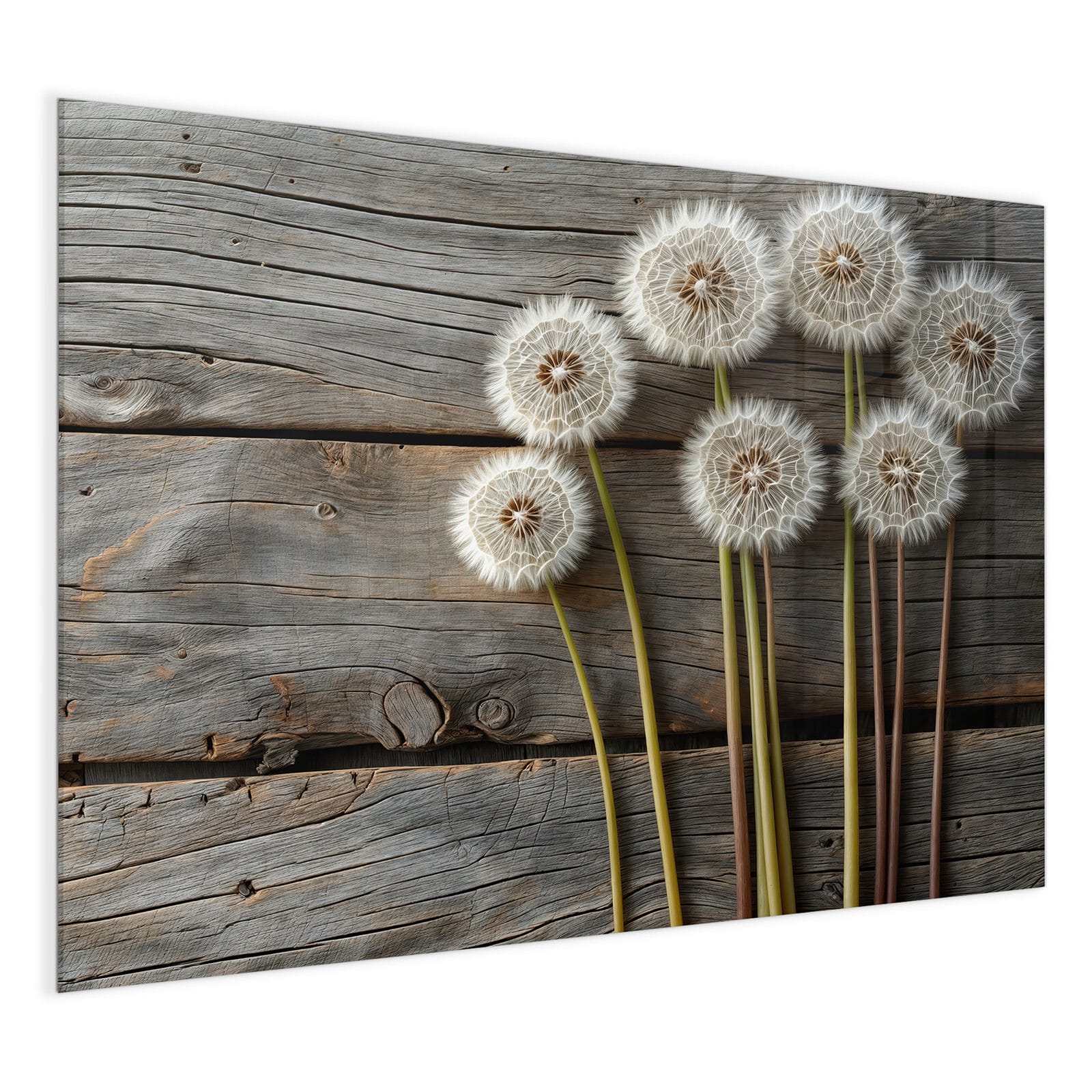 #grösse_120 x 90 cm