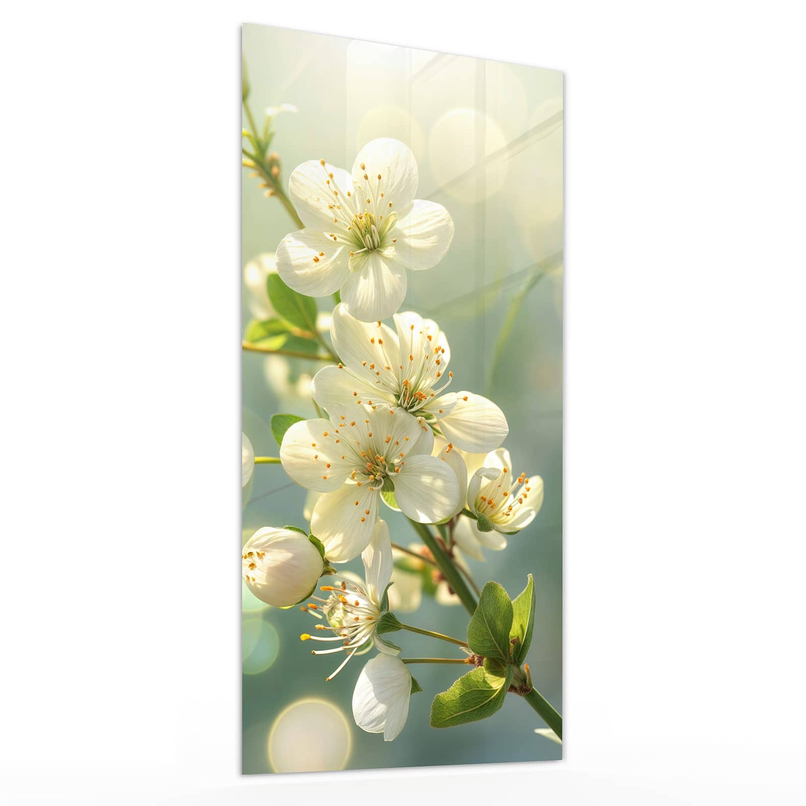 #grösse_30 x 60 cm #grösse_40 x 80 cm #grösse_50 x 100 cm #grösse_55 x 110 cm #grösse_60 x 120 cm