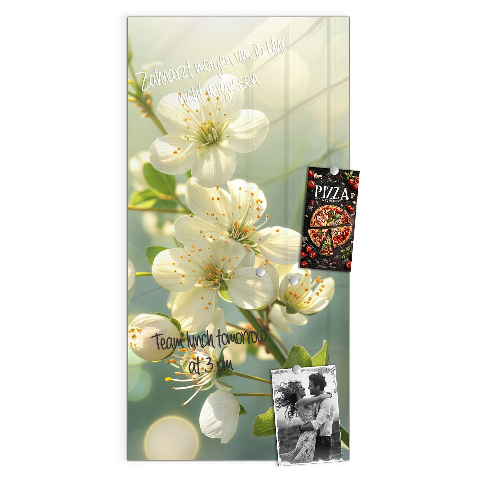 #grösse_50 x 100 cm