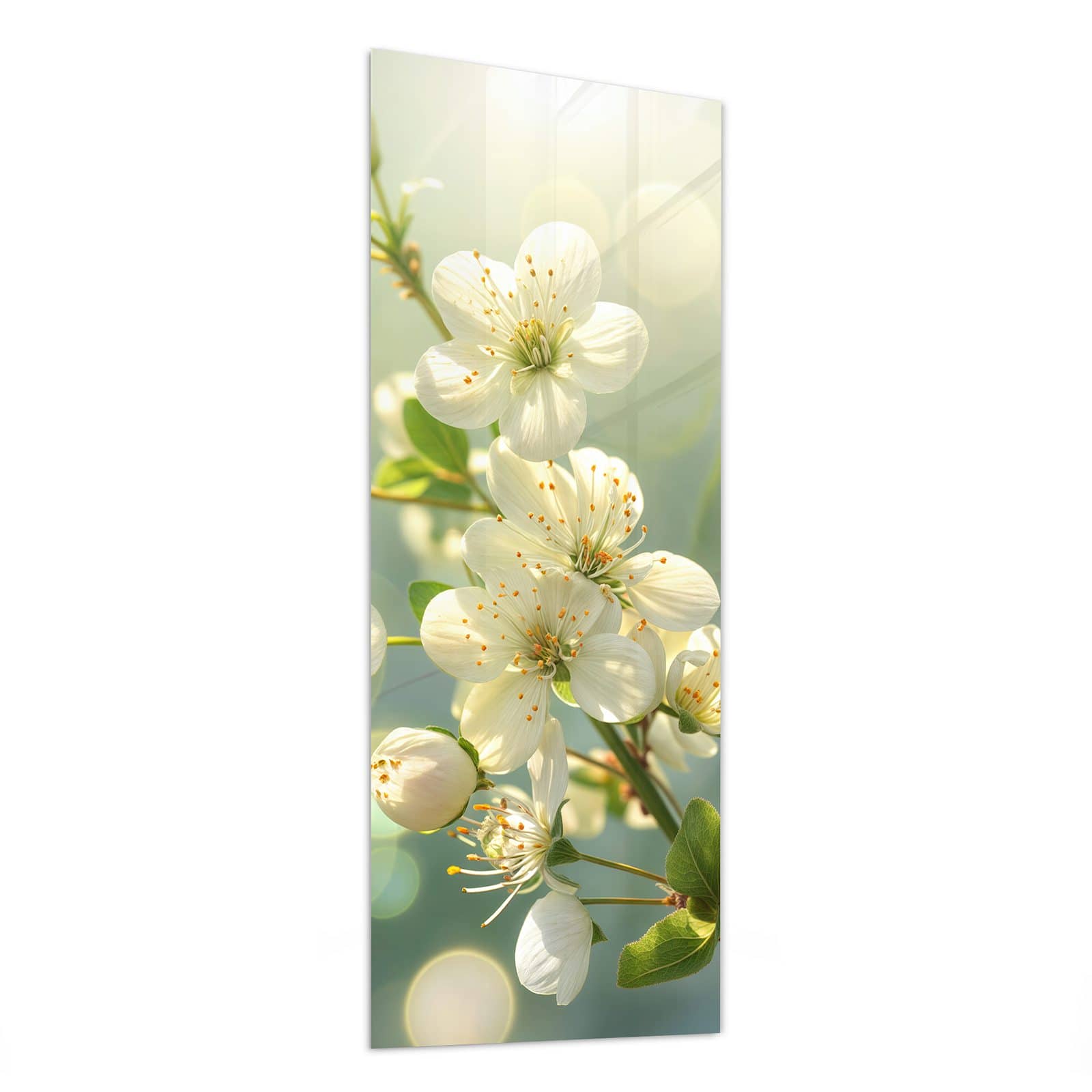 #grösse_50 x 125 cm #grösse_40 x 100 cm #grösse_60 x 150 cm